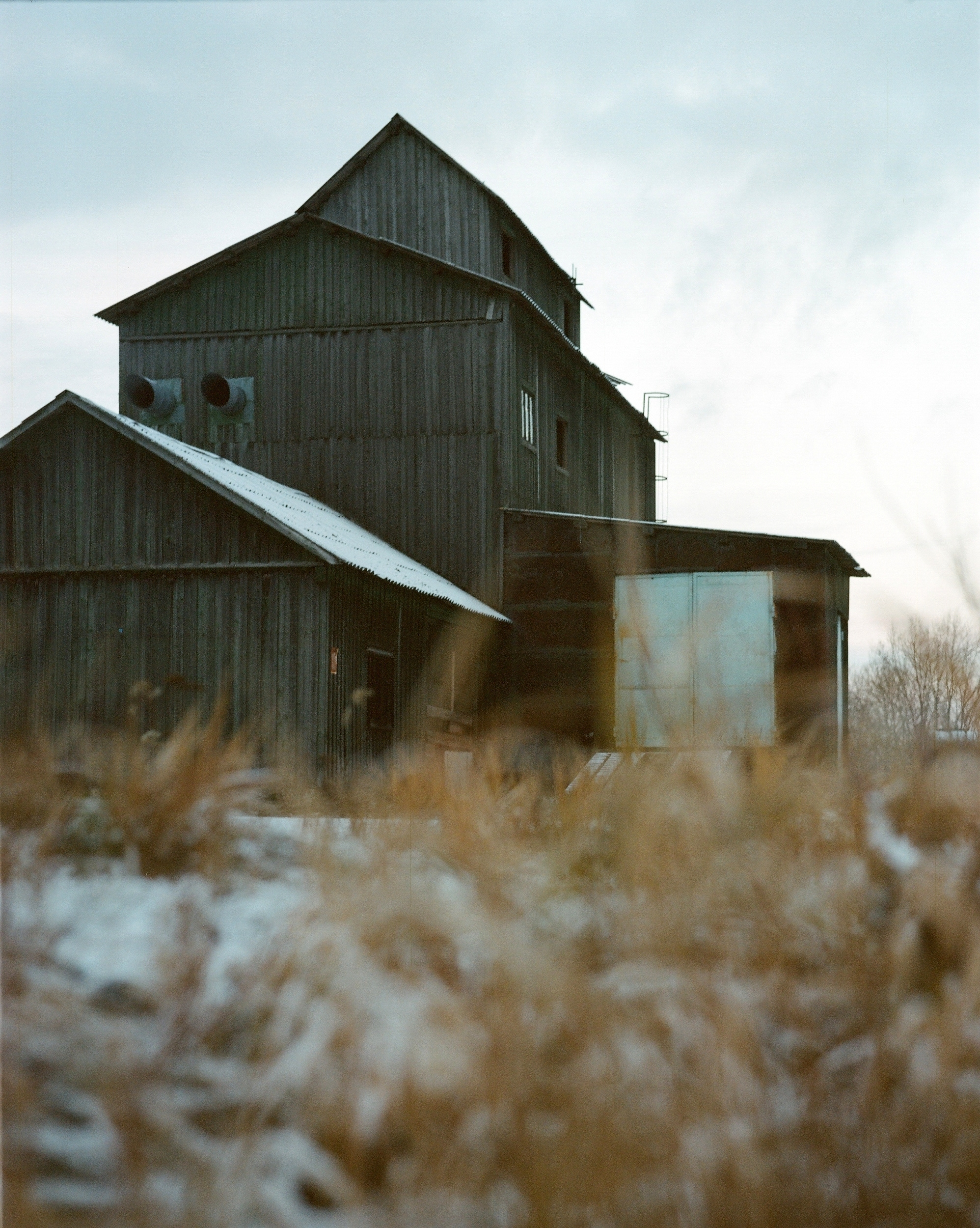 Дневник каньона. Екатерина Васильева художник, куратор и преподаватель