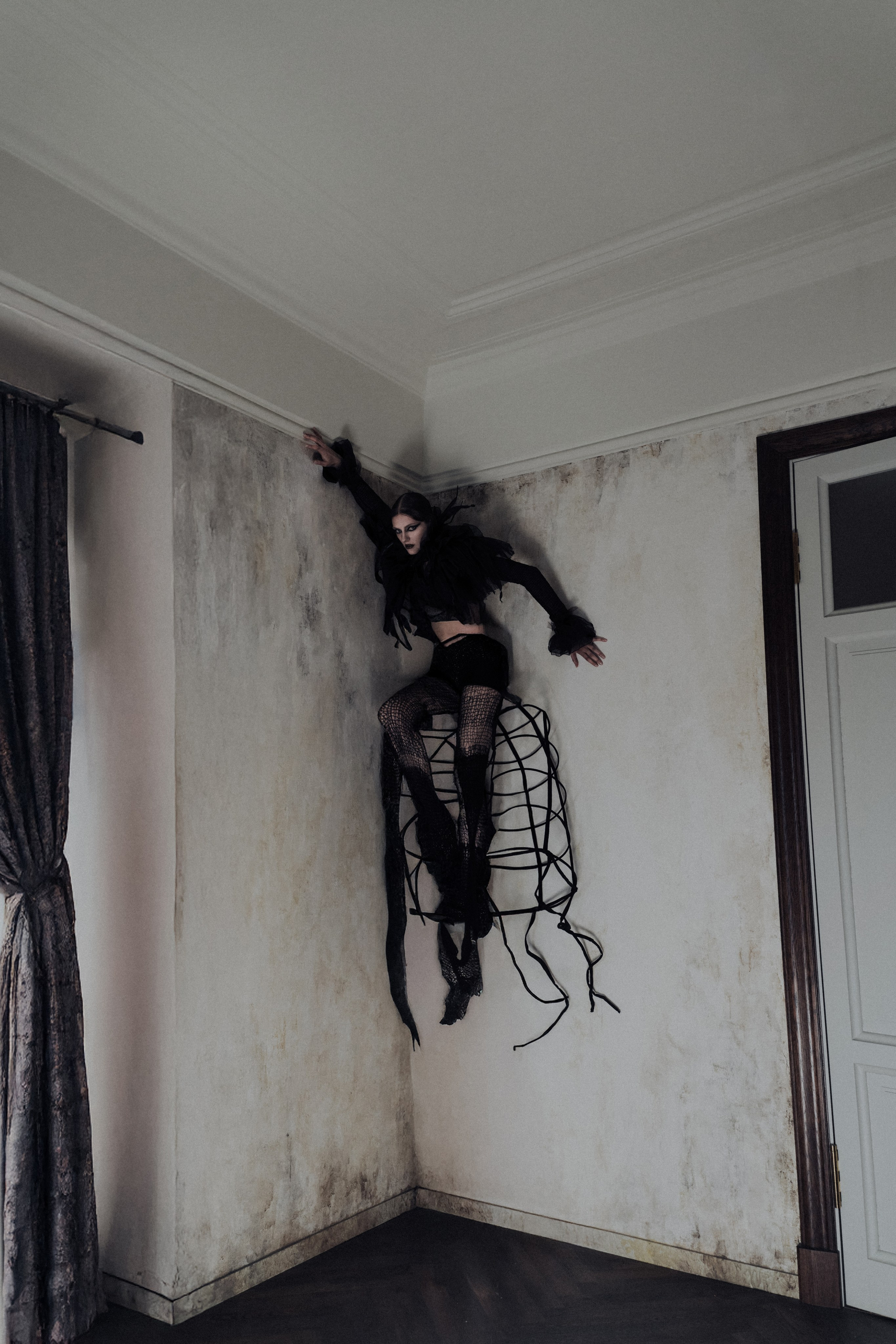 Паук. Фотограф Anita Mivchas