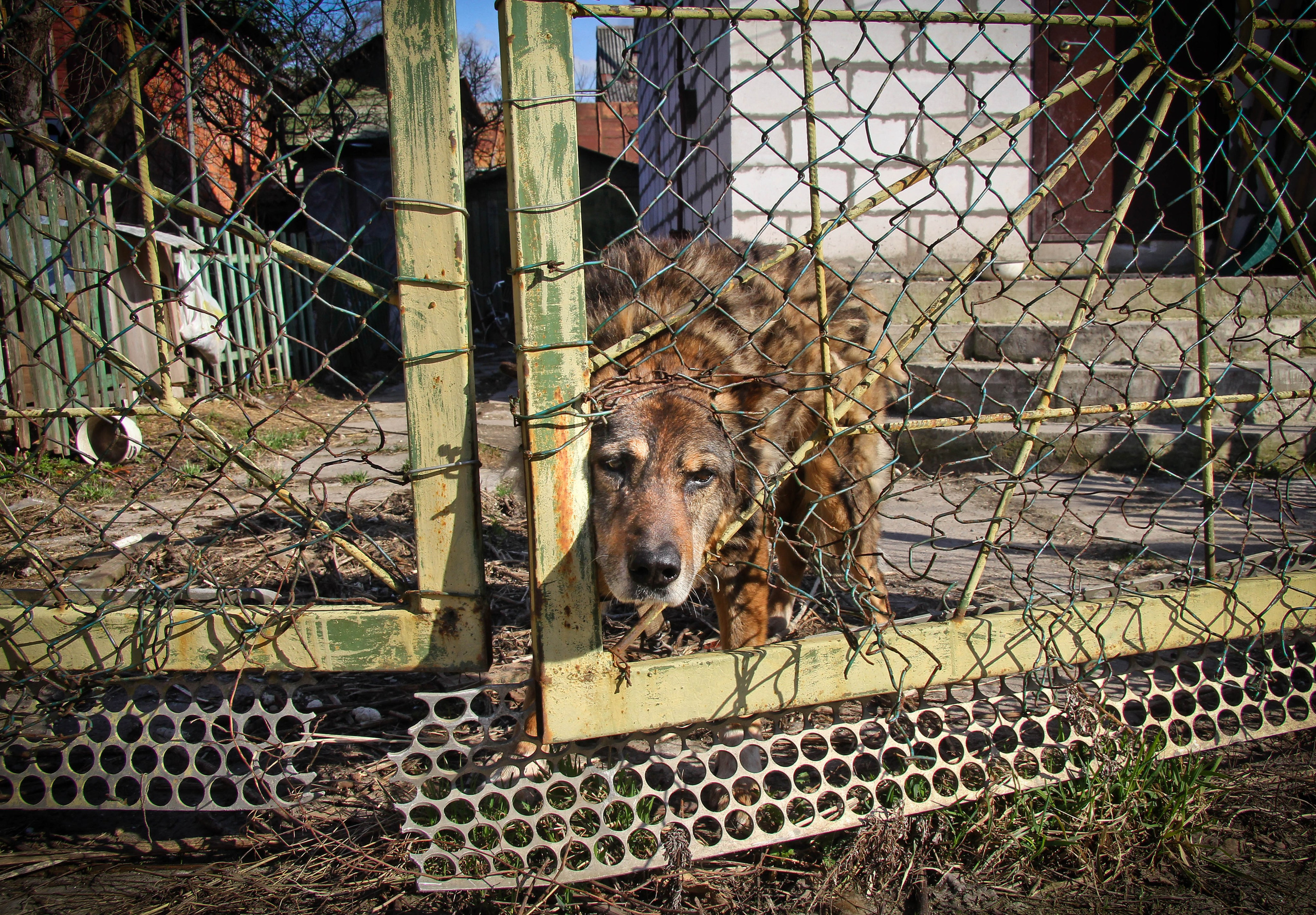 2013. Стрит-фотография, полная абсурда, идиотизма и красоты