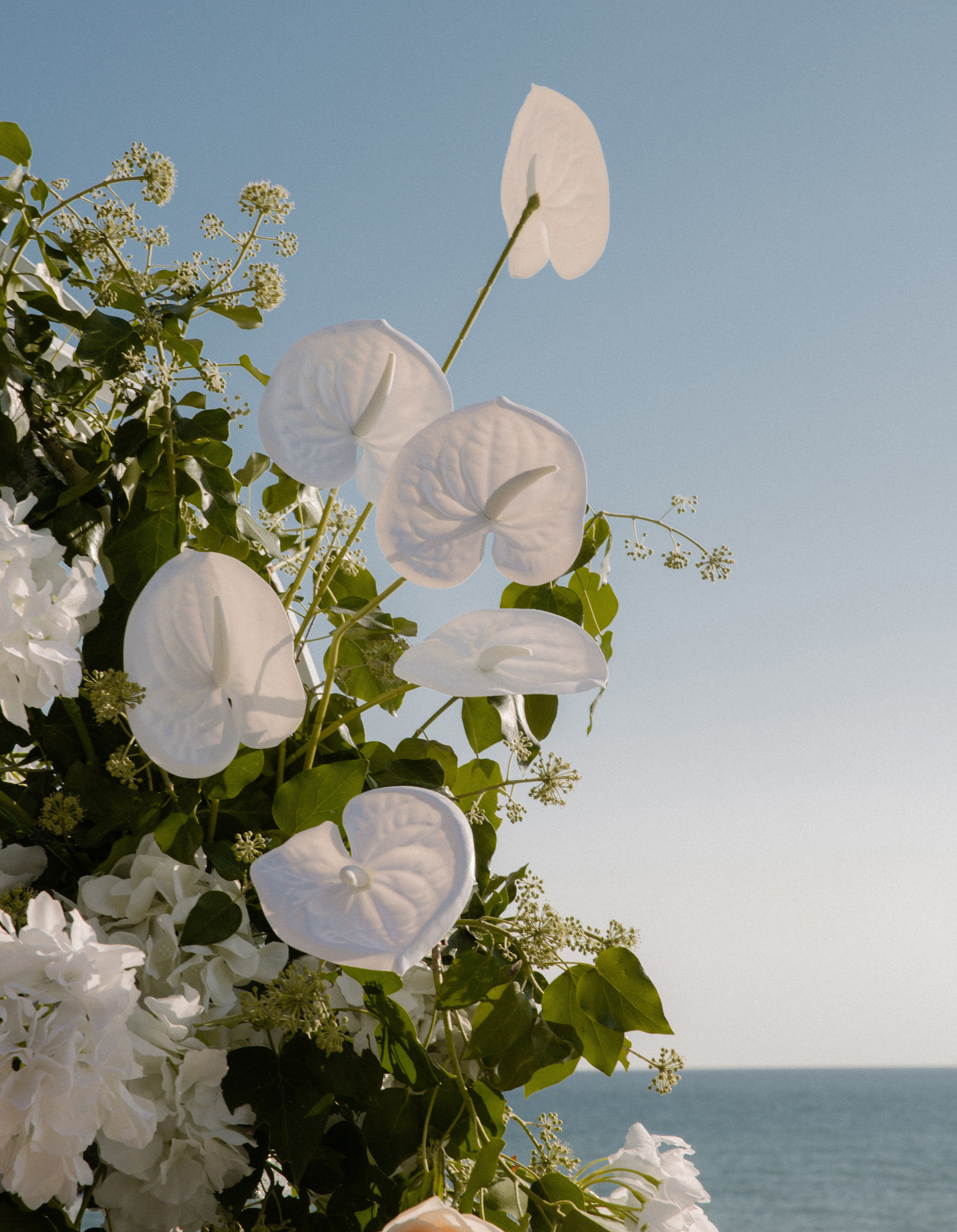 Анастасия | Василий. Фотограф в Краснодаре и Краснодарском крае
