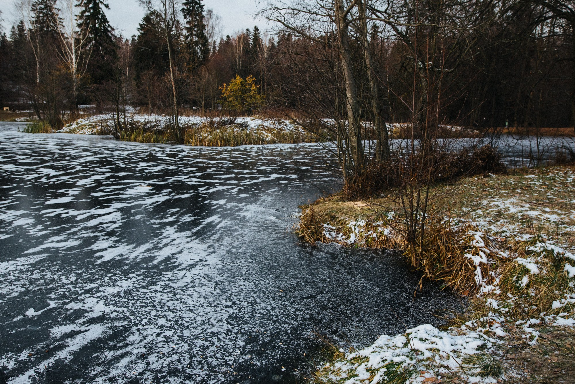 На стыке осени и зимы. Семейный и детский фотограф в Санкт-Петербурге Марина Сергеева