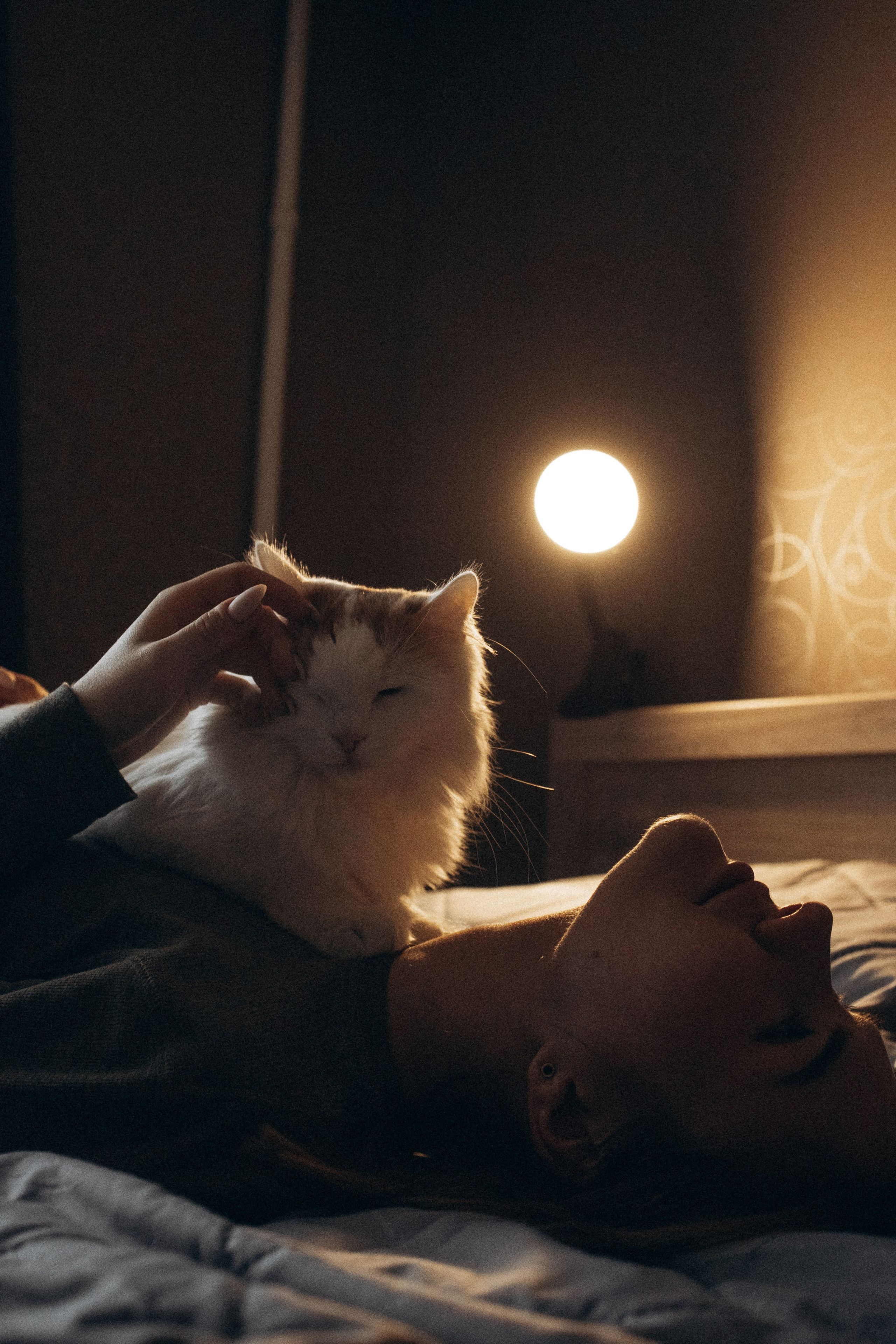 Маша и ее семья. Фотораф — анималист Мария Шистка