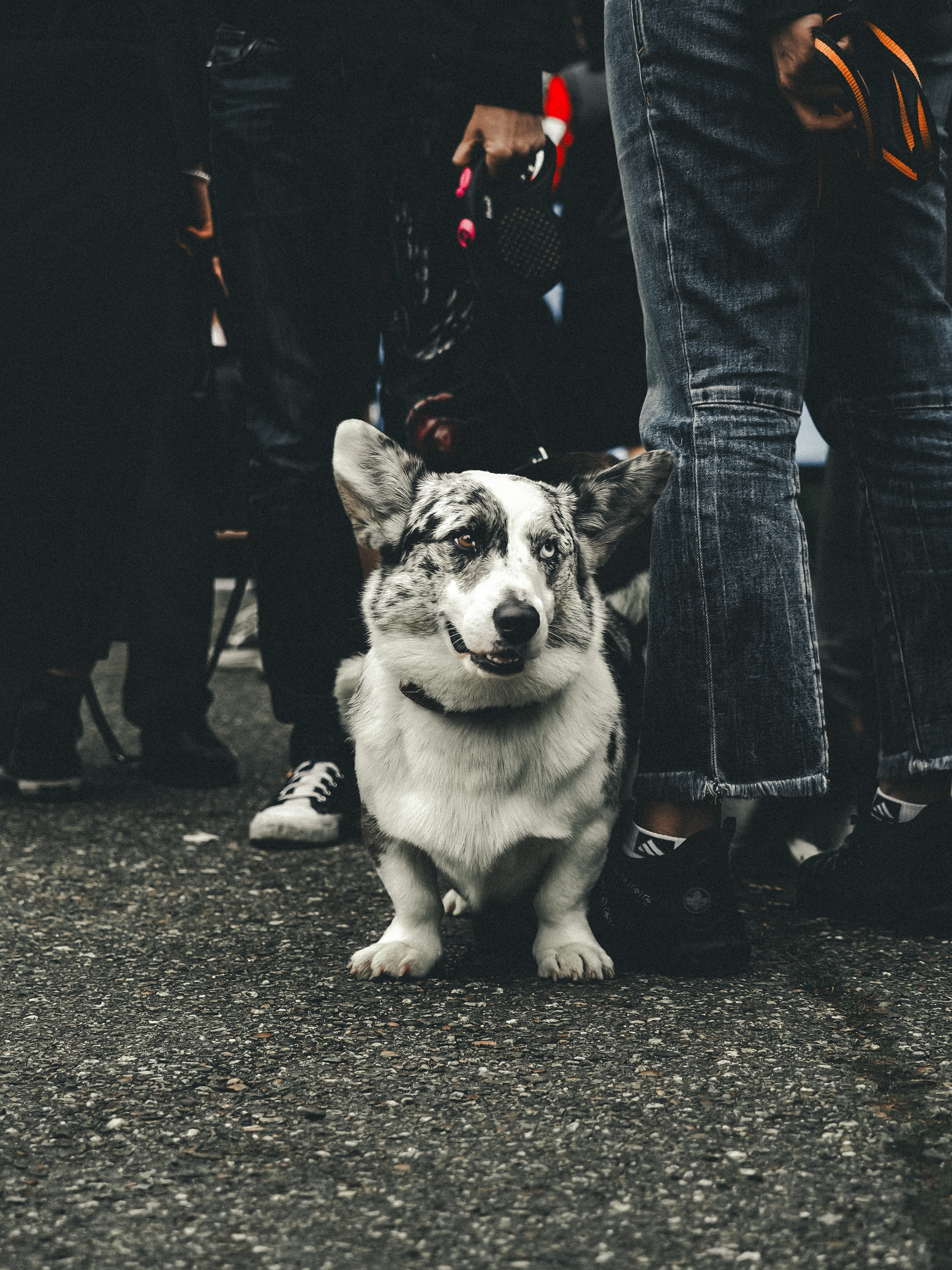 Фотограф анималист Тюгаева Мария