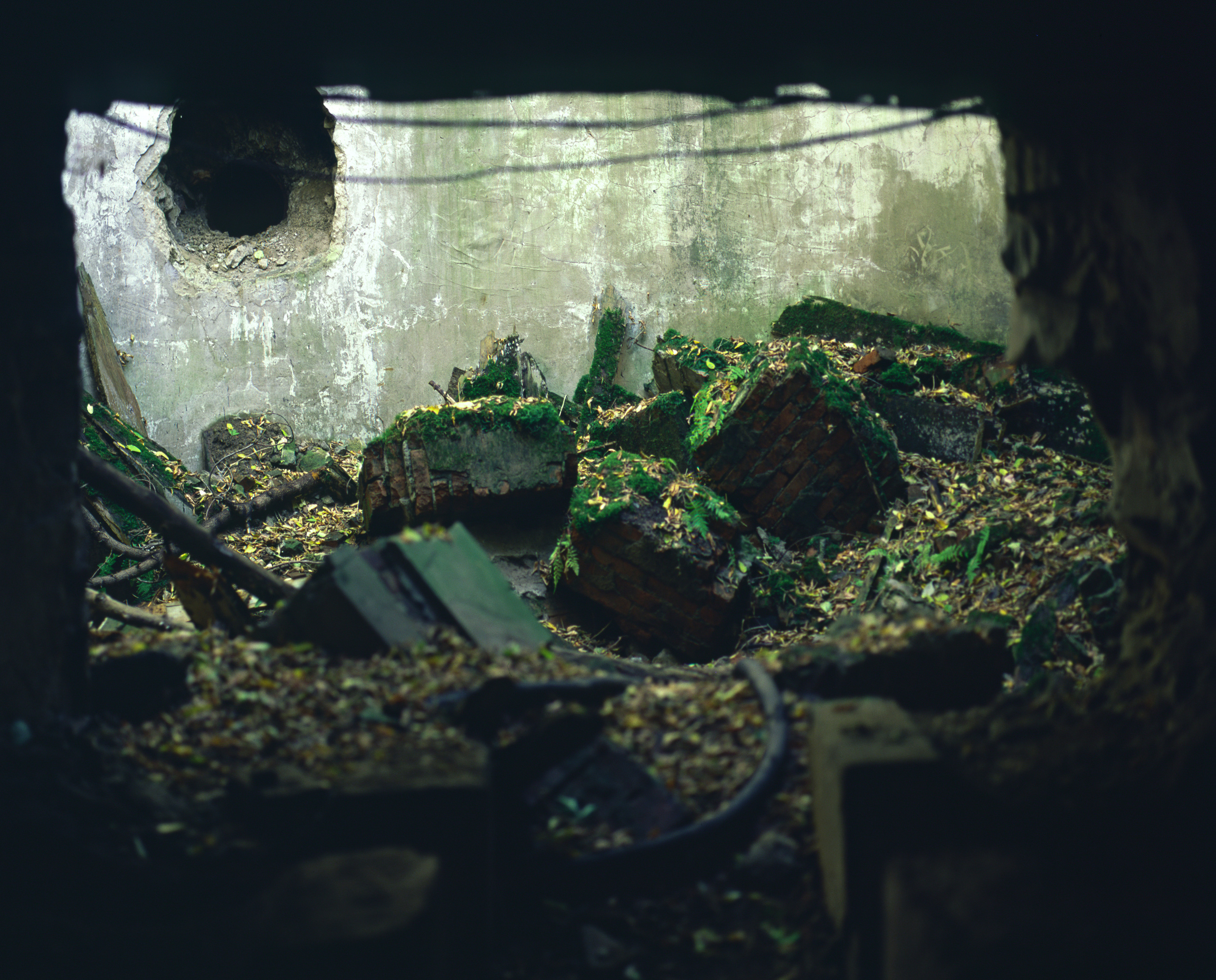 Shards of concrete. Alexander Nikolsky