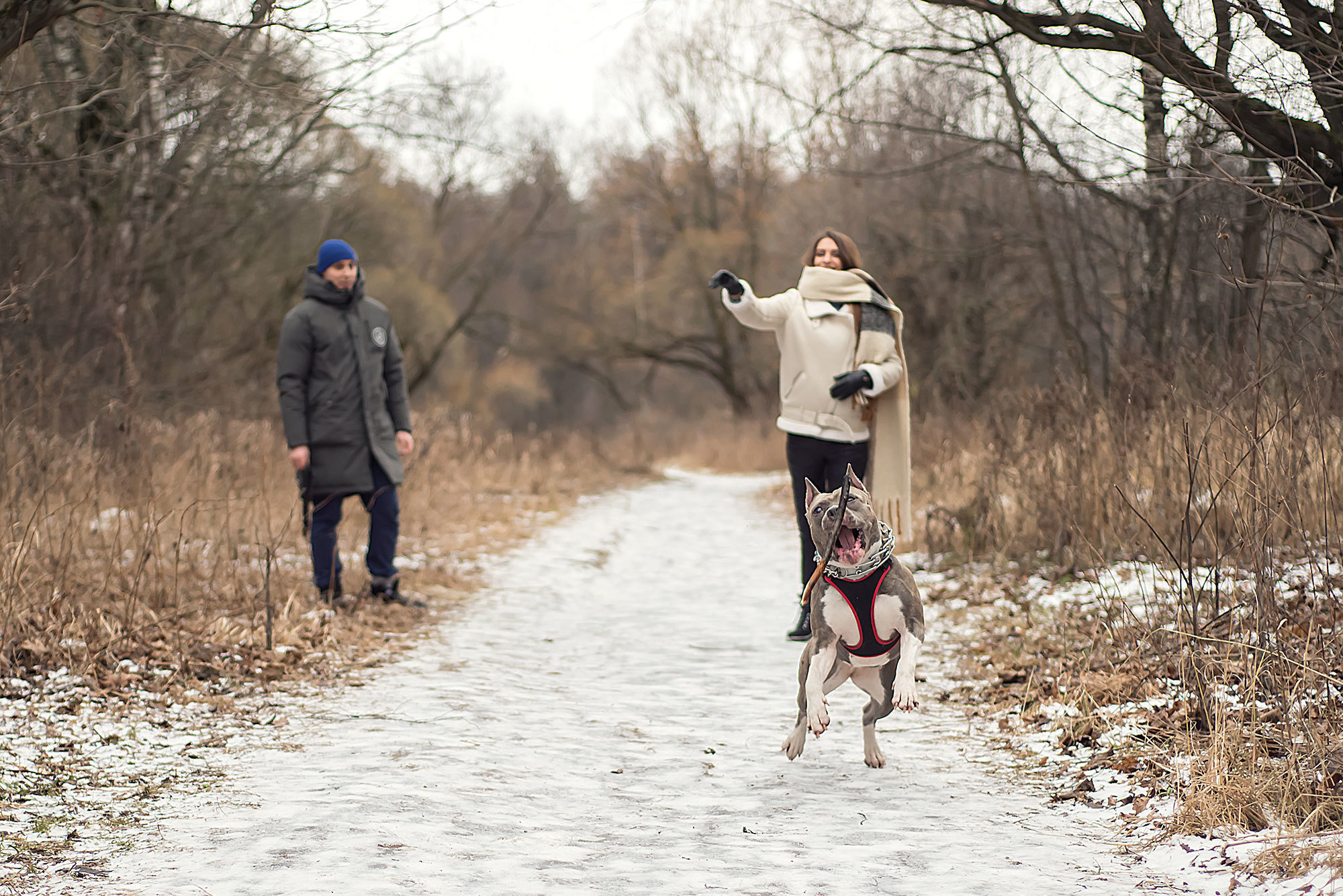 Даша, Митя и Айза. Фотограф в Москве Аня Цыплакова