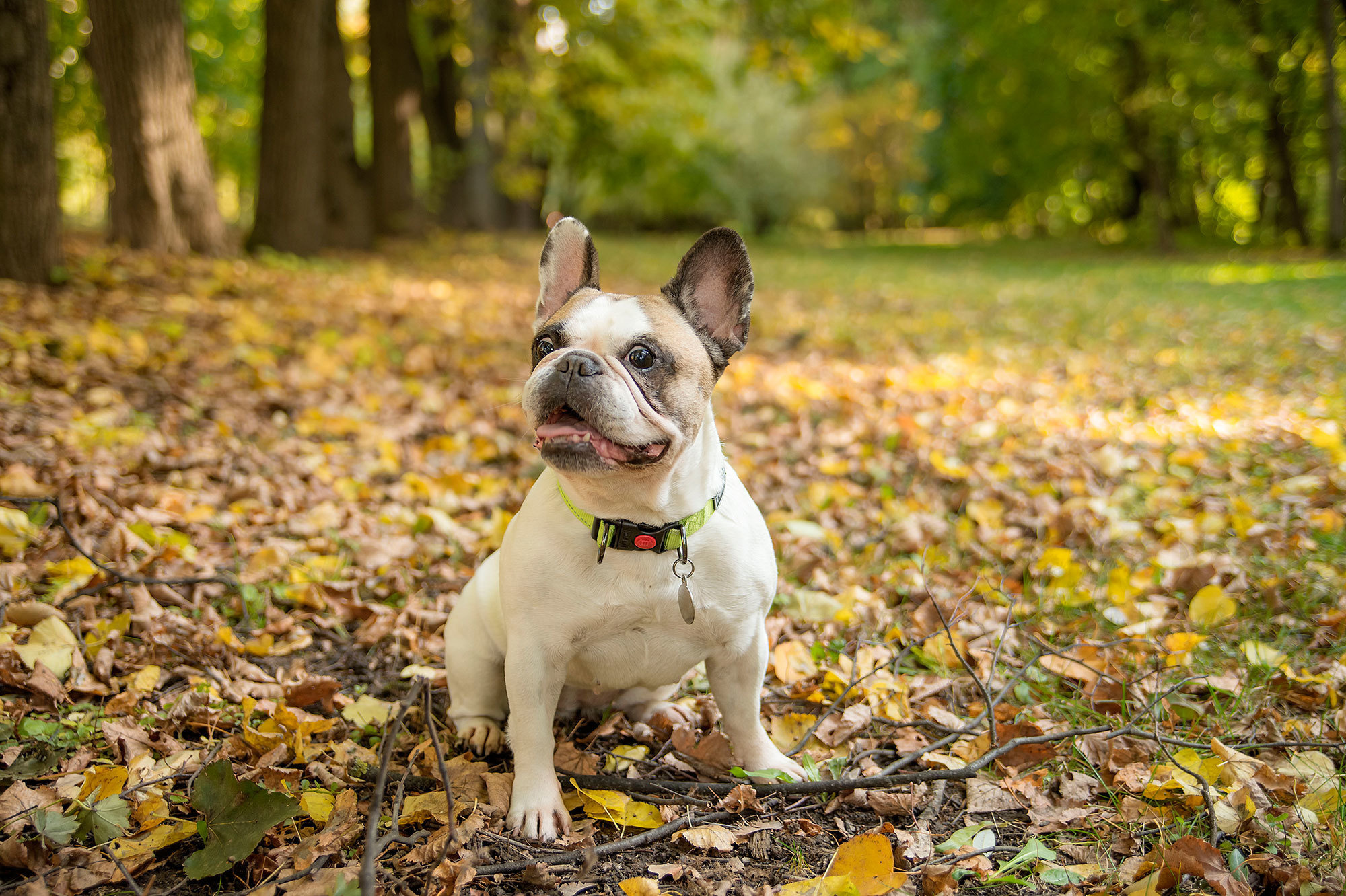 Аня и Моня. Фотограф в Москве Аня Цыплакова