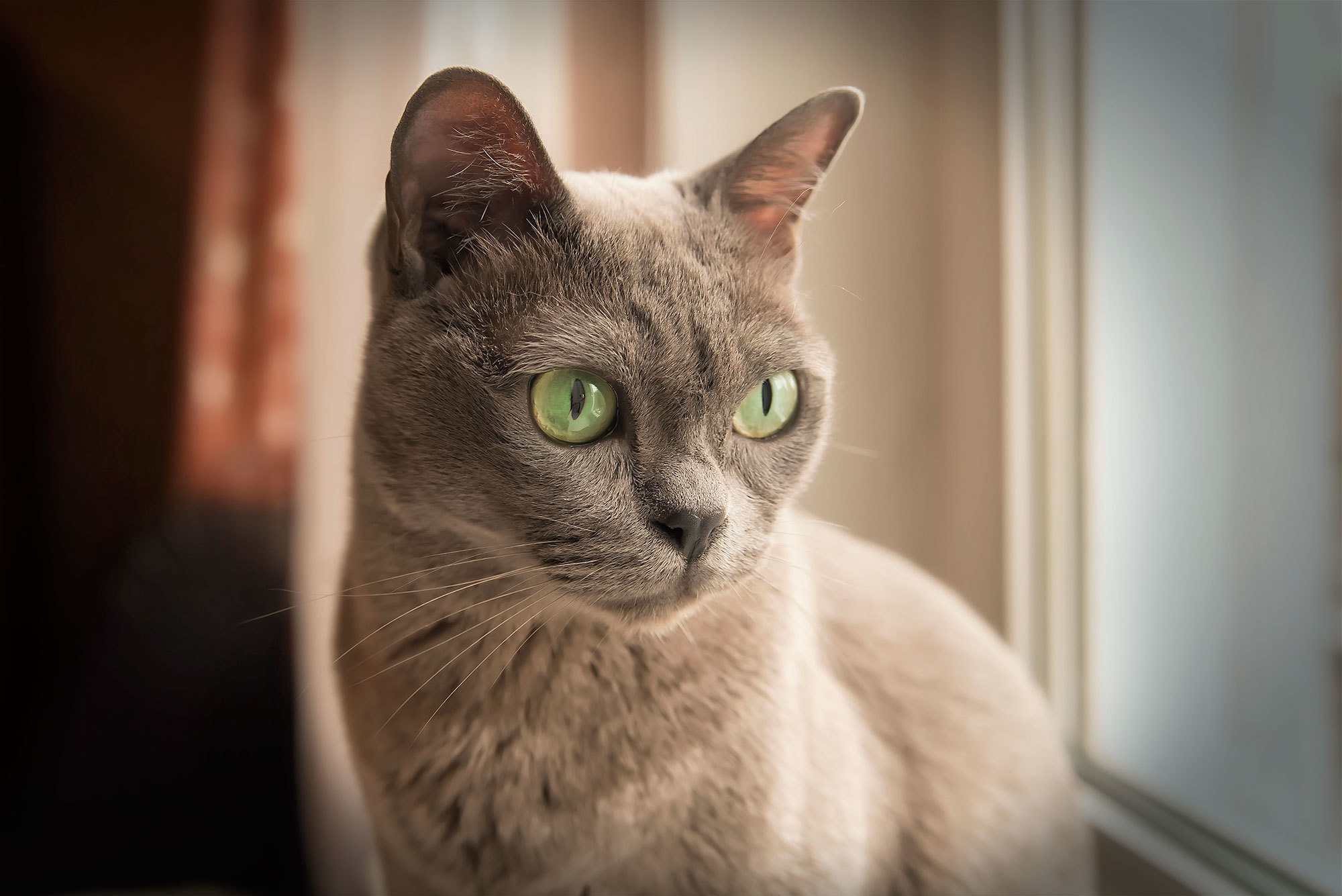 Ирина, Амур и Тиара. Фотограф в Москве Аня Цыплакова