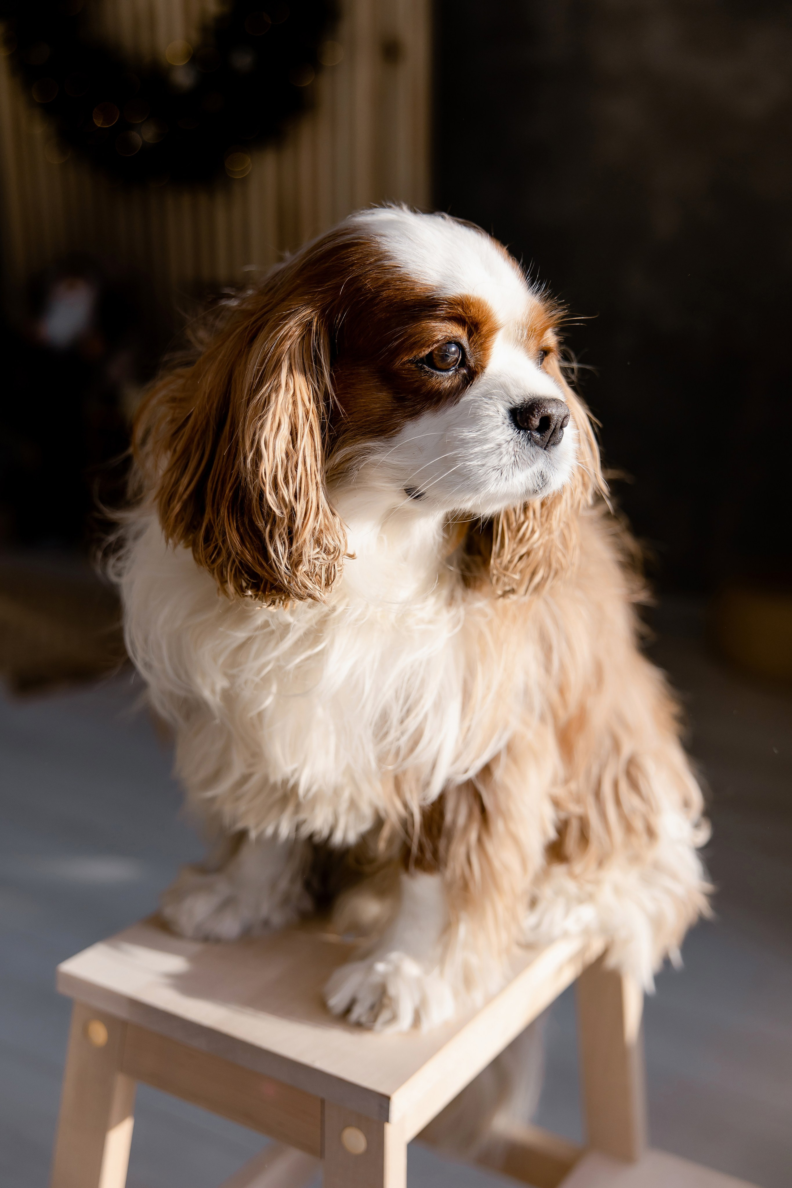 Семейная съёмка для Кати и Вити. Свадебный и портретный фотограф в Миассе Филиппенко Дарья