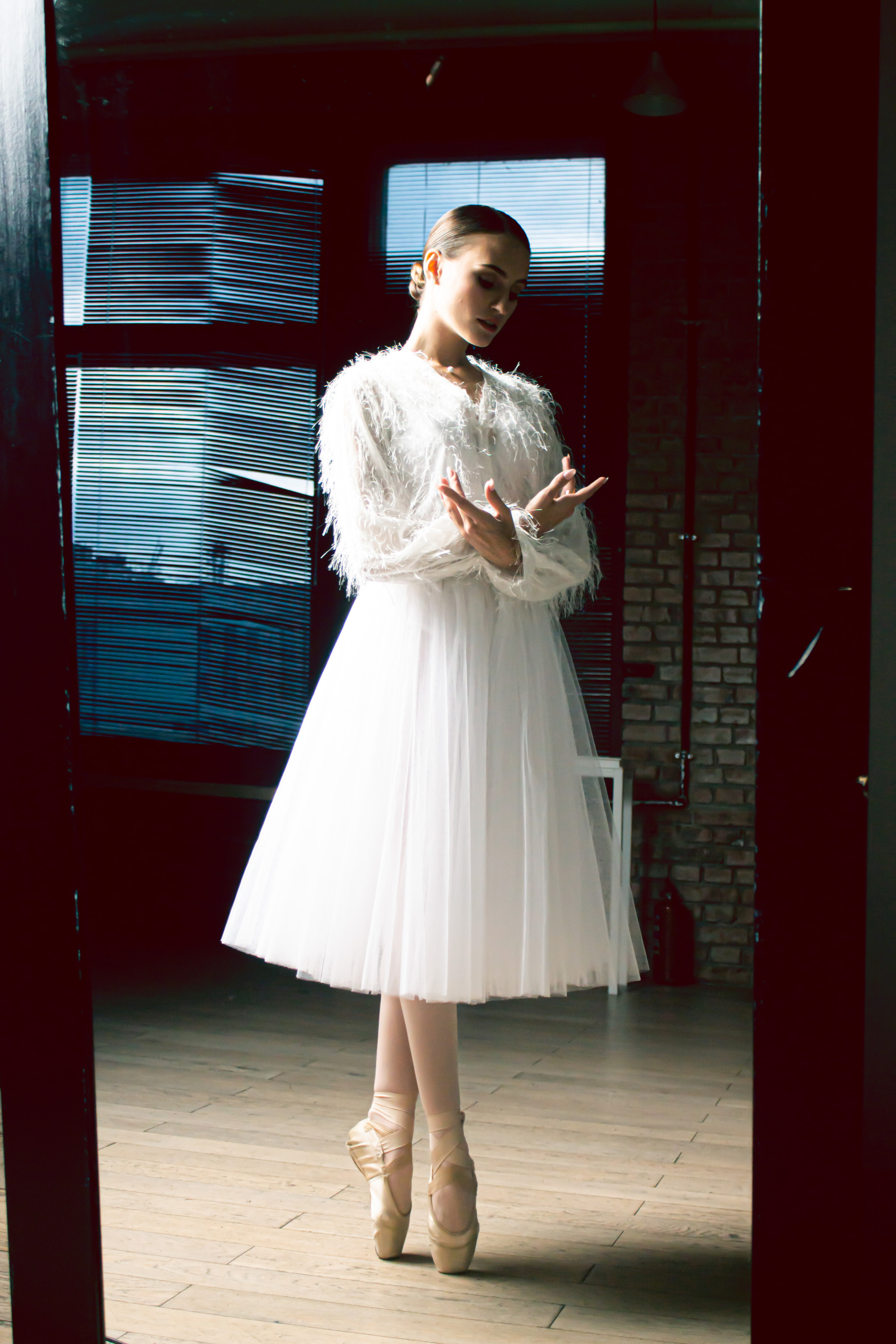 Black swan. Фотограф в Санкт-Петербурге Архангельский Александр