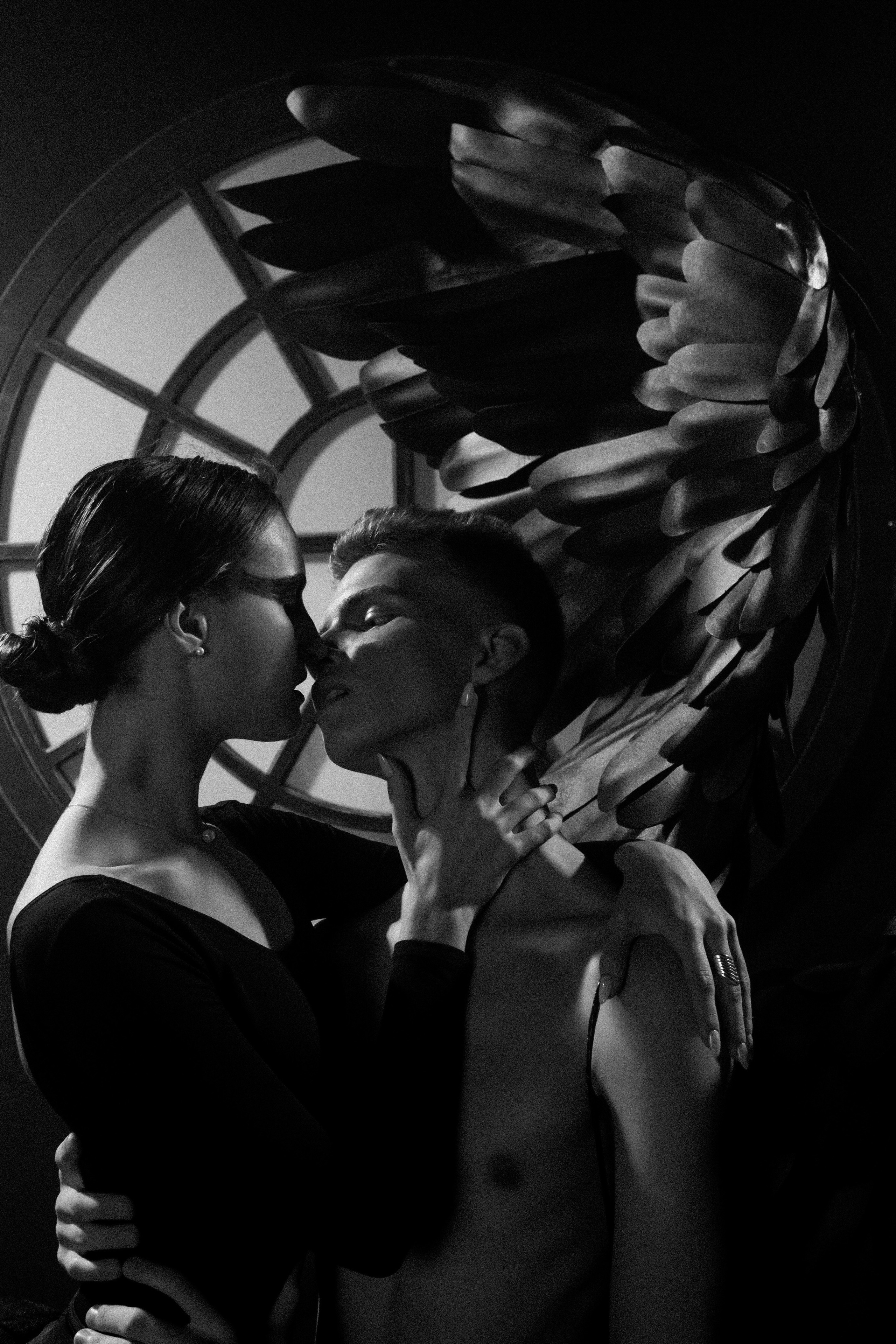 Black swan. Фотограф в Санкт-Петербурге Архангельский Александр