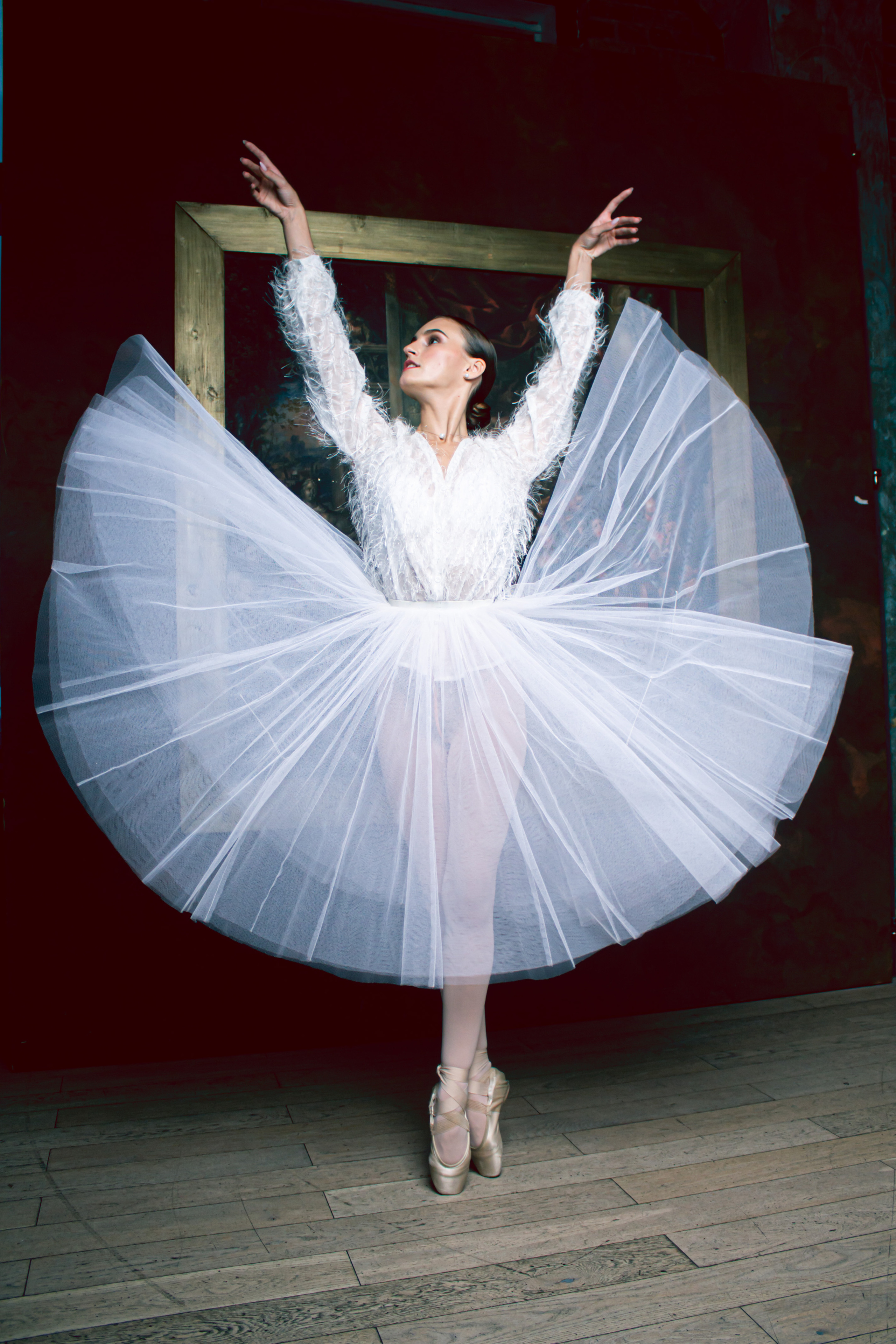 Black swan. Фотограф в Санкт-Петербурге Архангельский Александр