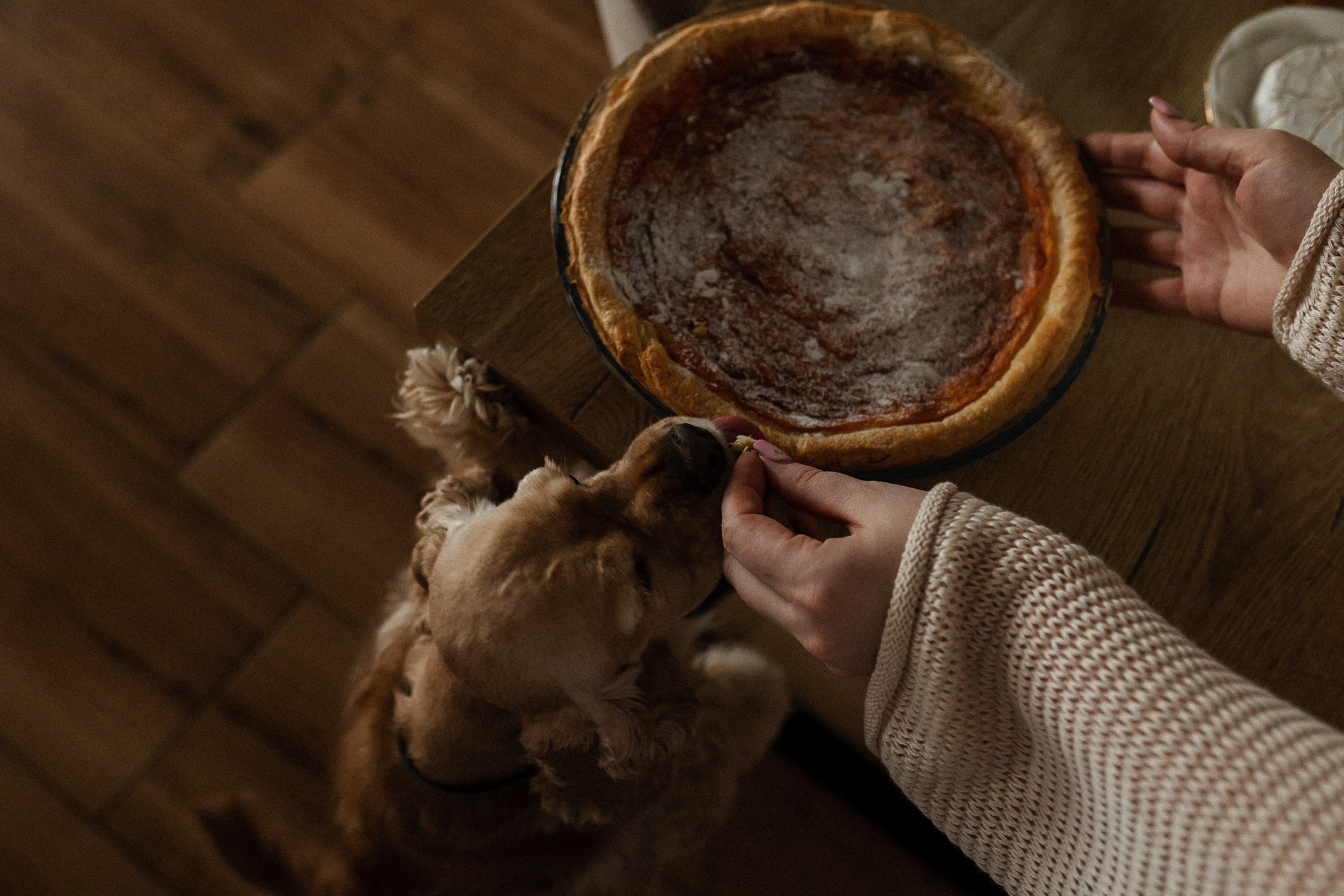 Счастливы вместе. Семейный фотограф в Нижнем Новгороде Доронина Юлия