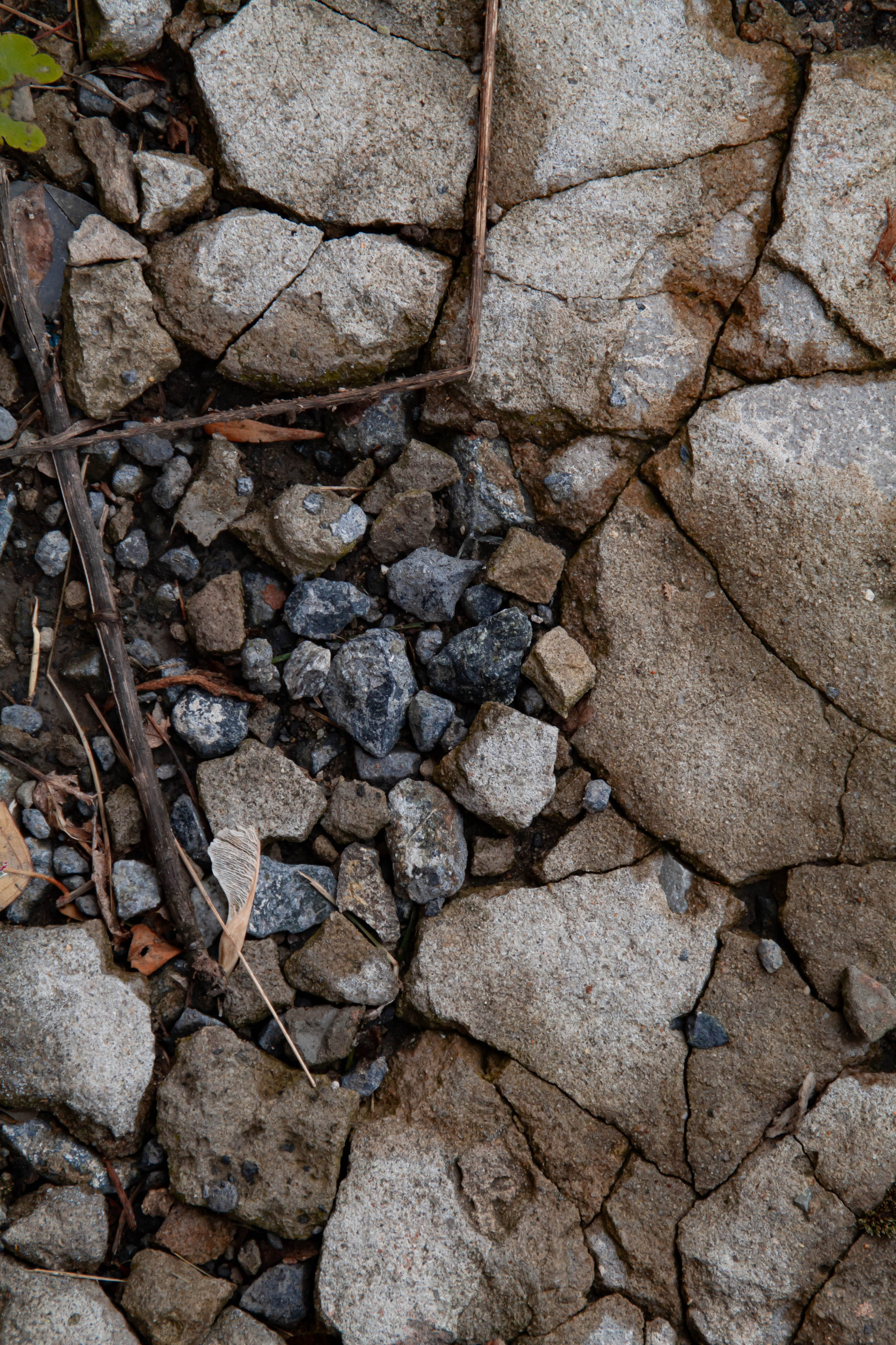 Архитектура