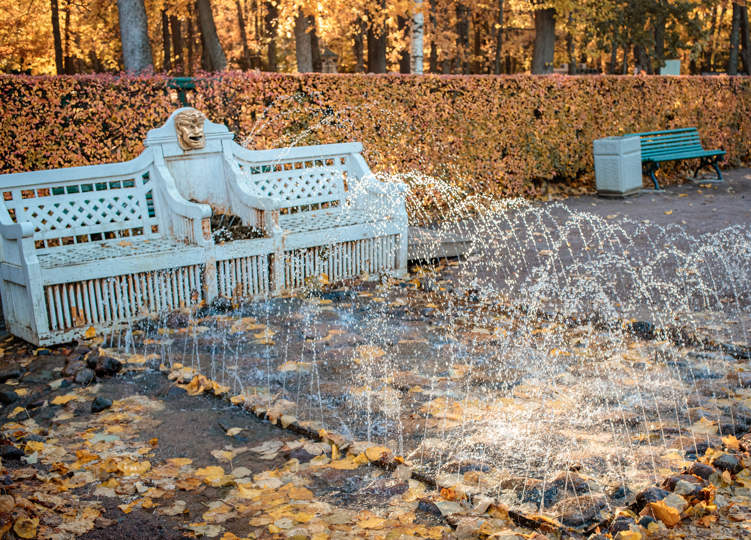 Петергоф нижний парк фото