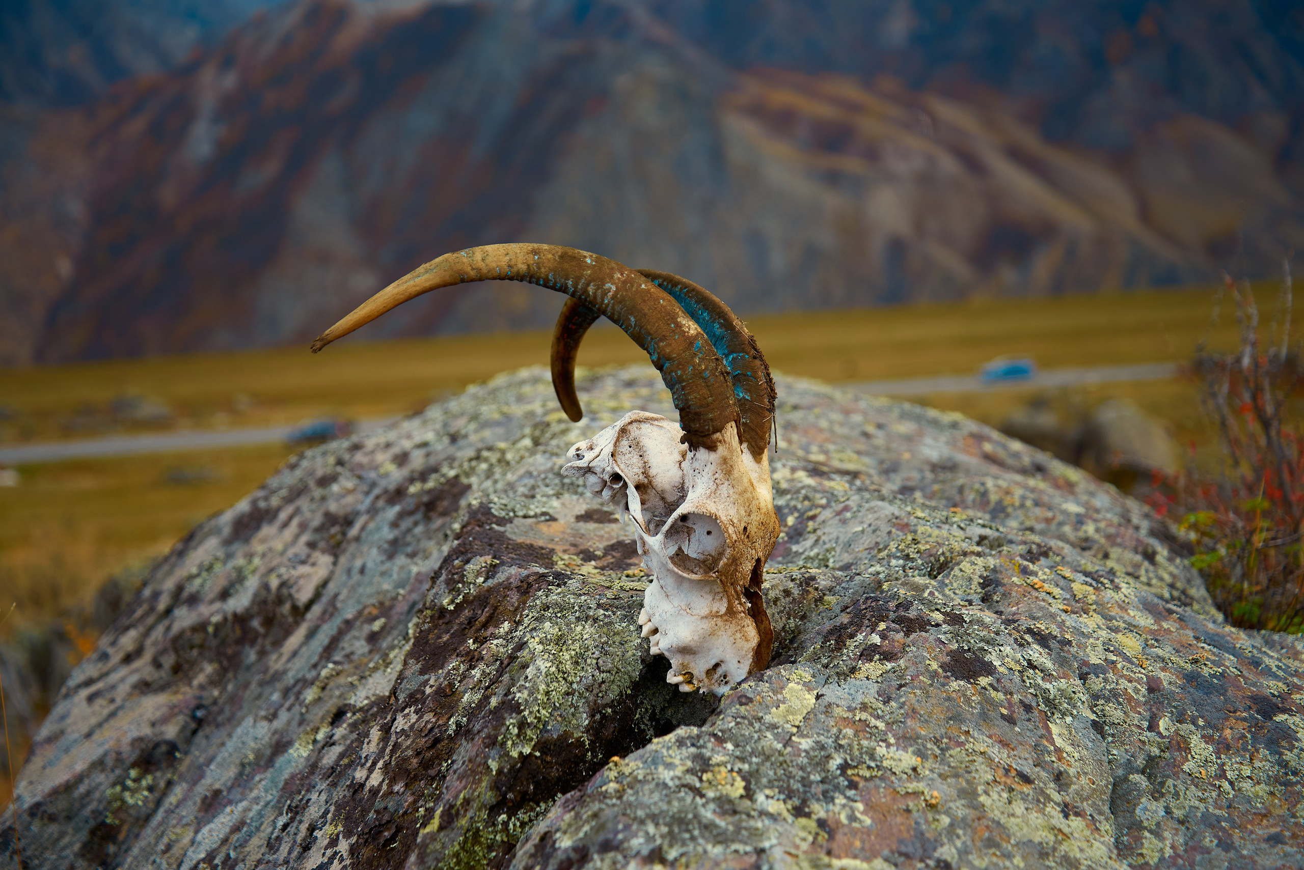 Контент-съёмка для туристической компании НА ВЫСОТЕ. Семейный фотограф в Барнауле, Горный Алтай, Заринск, Алейск