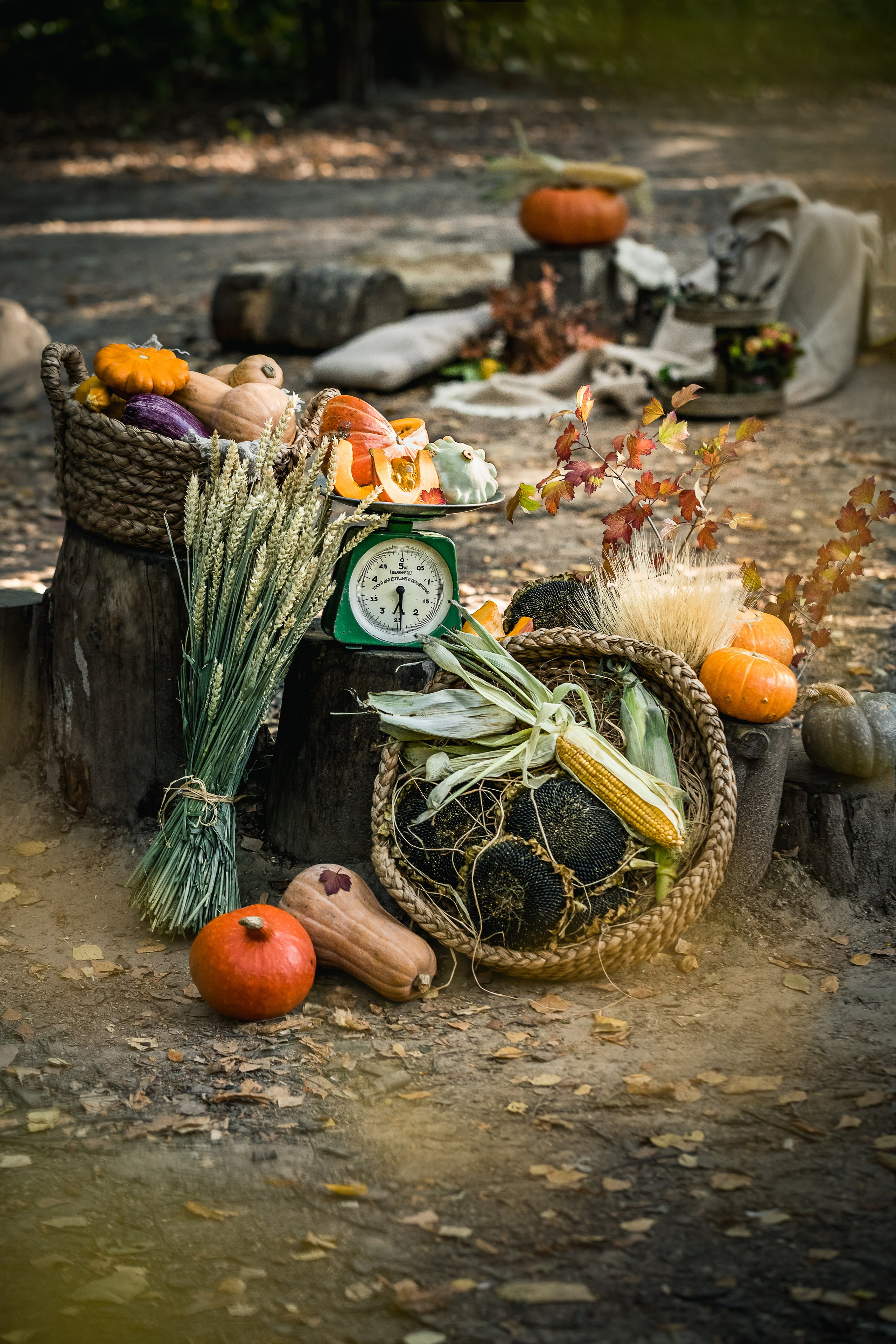 Pumpkins stillife & Halloween. Foodie Stories (гастрономические истории) рекламная фуд-фотосъёмка, Москва
