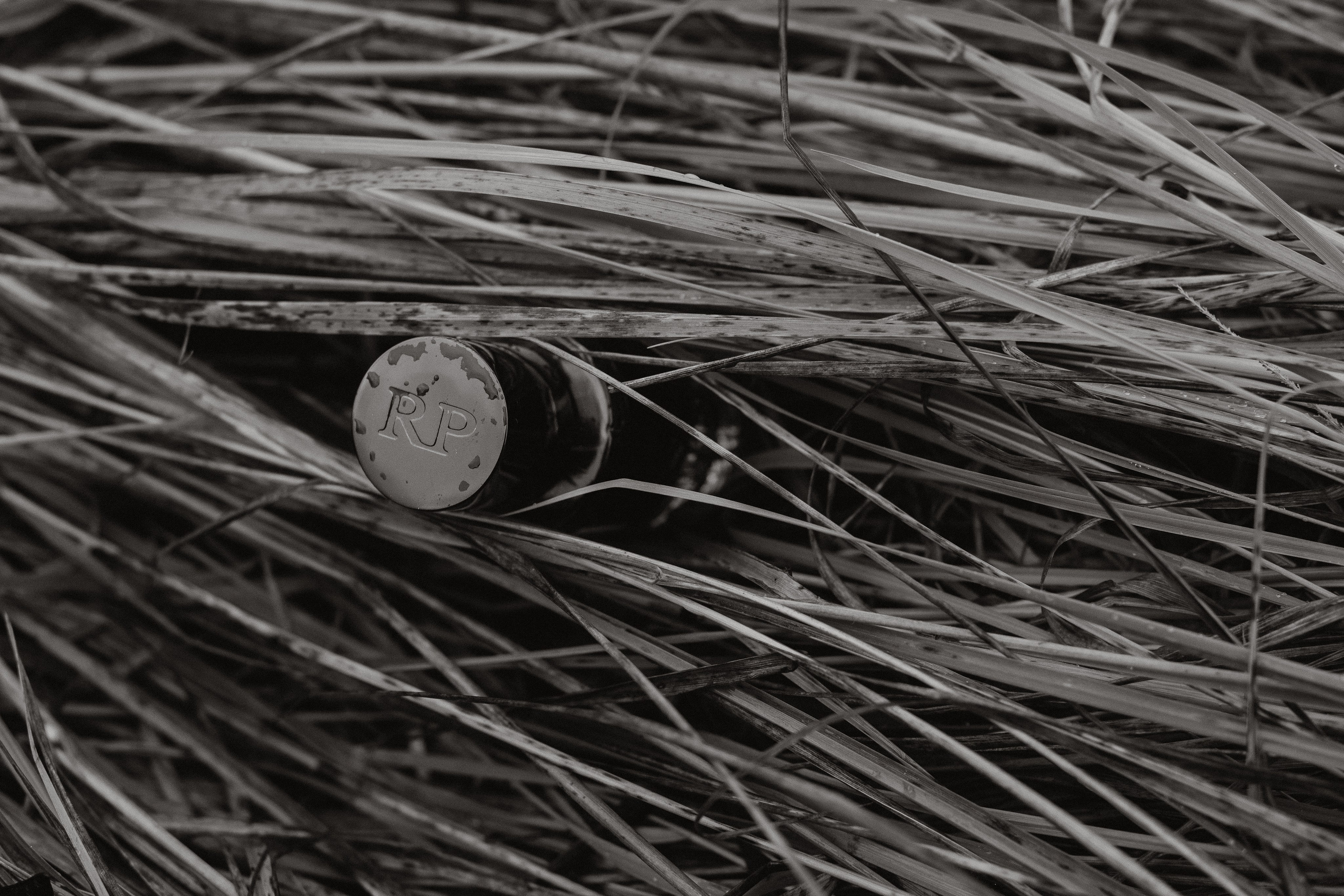 Съемка для брендов. Фотограф в Москве (готова приехать к вам в город)