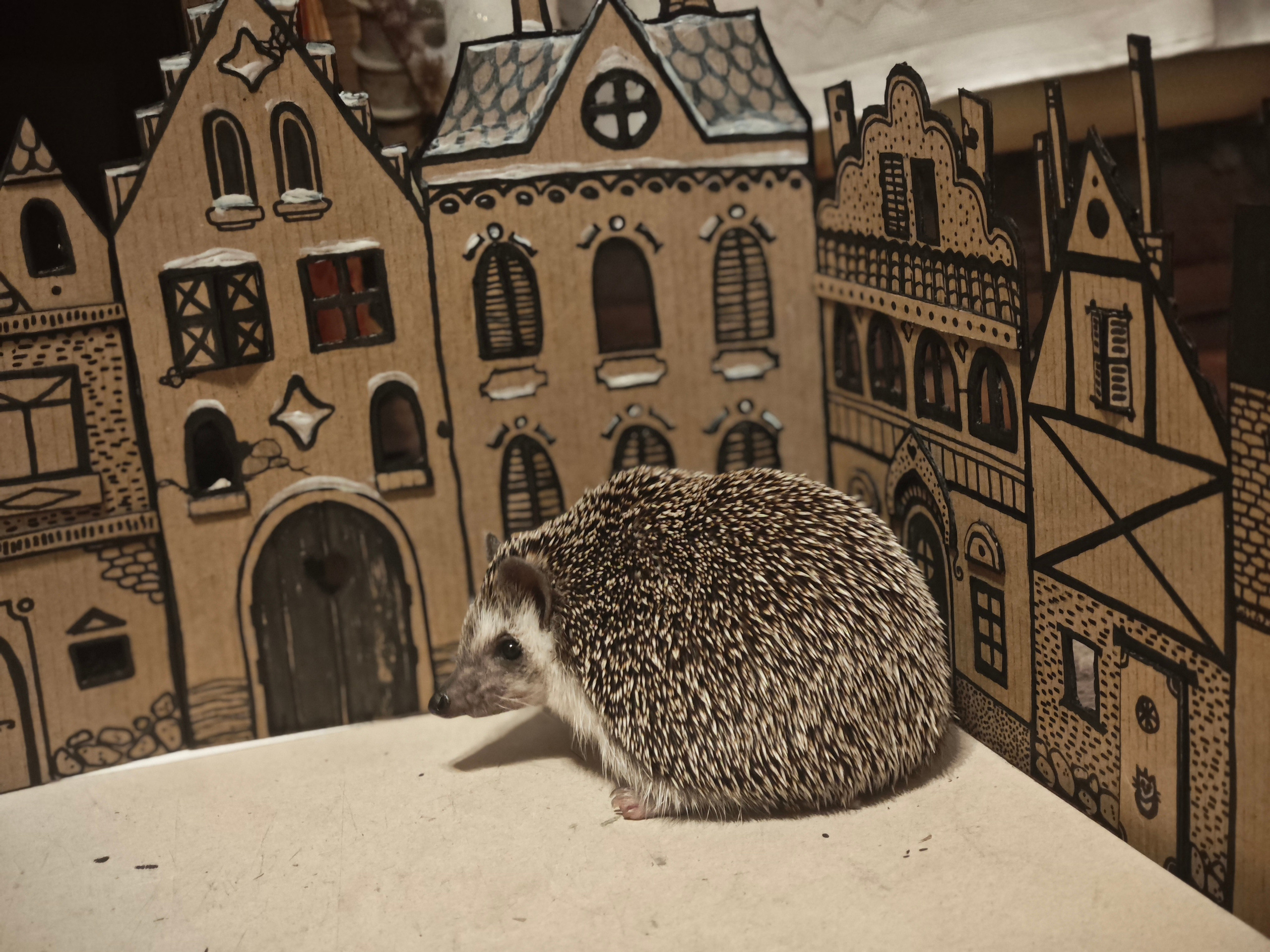 НОВОСТИ. Художник Перепечėнова-Феофанова Анна