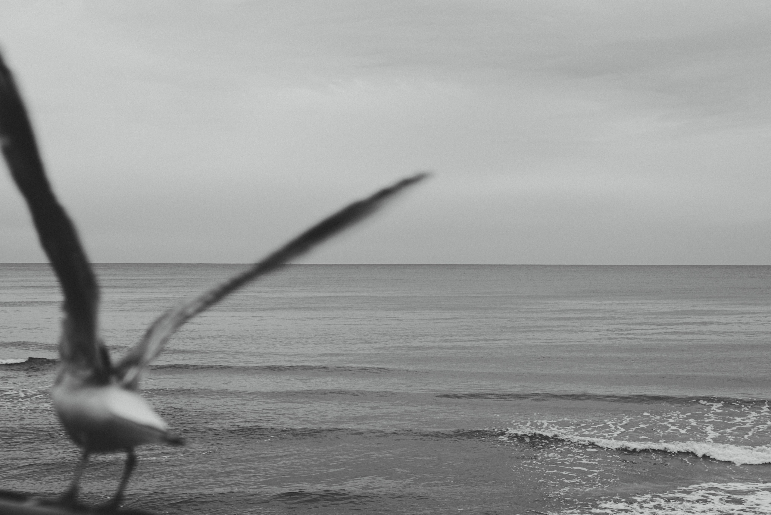 Калининград и его область: через объектив рекламного фотографа из Гуанчжо. Коммерческий и предметный фотограф в Гуанчжоу Коваленко Александр