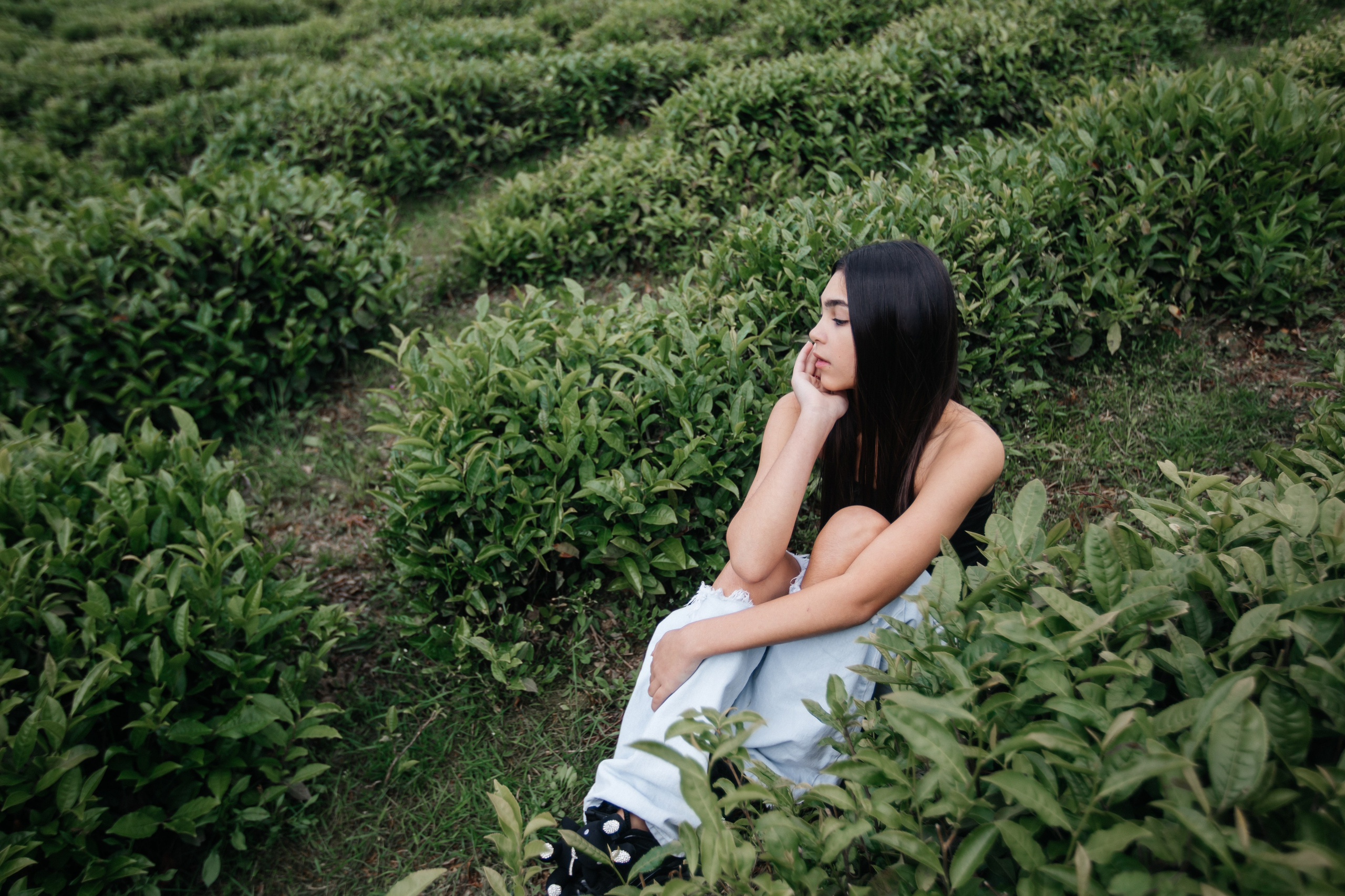 Tea plantation. Efimova Model Agency