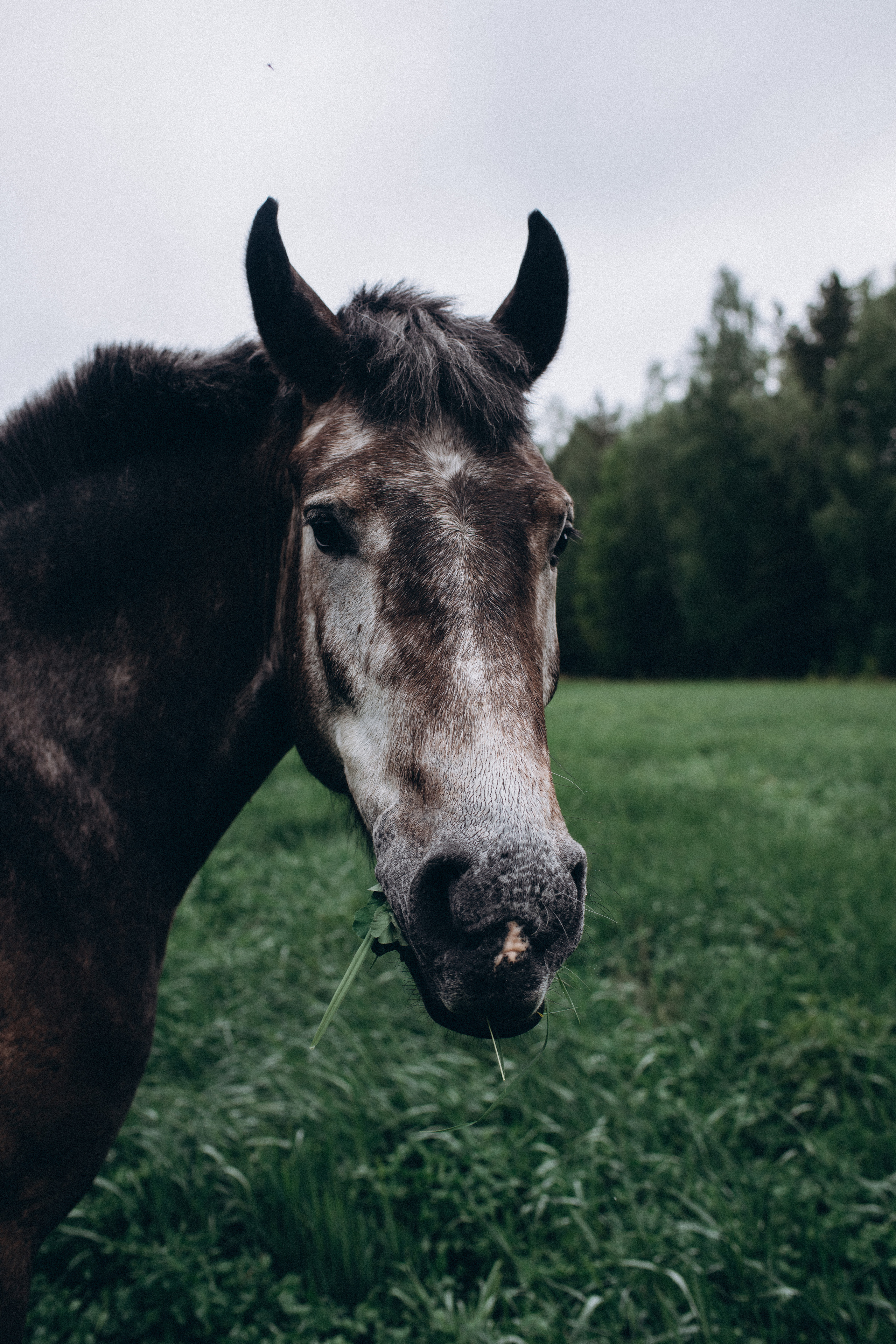 Ирина. Семейный свадебный фотограф Екатеринбург Первоуральск Шарнина Алёна