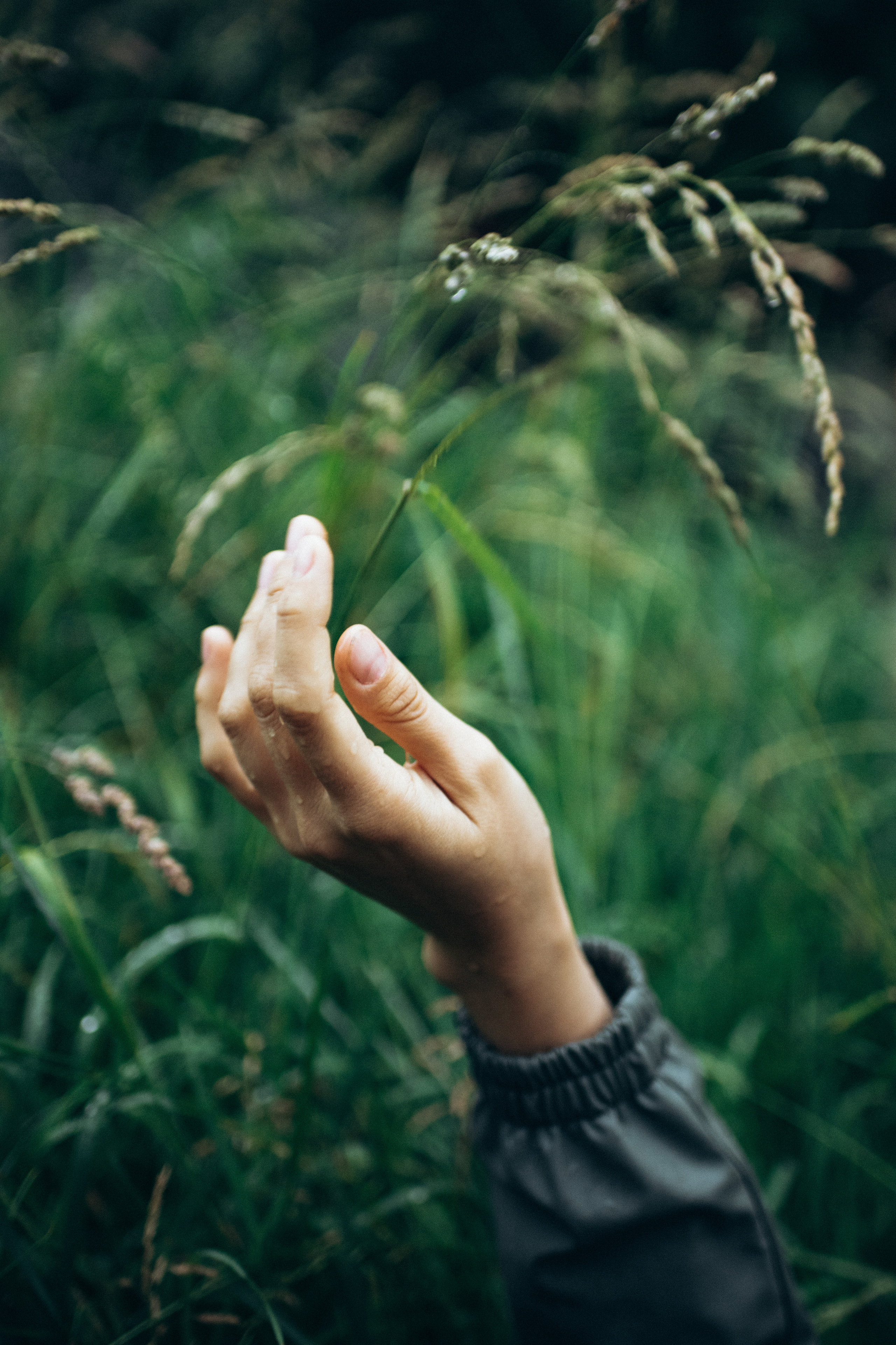 Ксения. Семейный свадебный фотограф Екатеринбург Первоуральск Шарнина Алёна