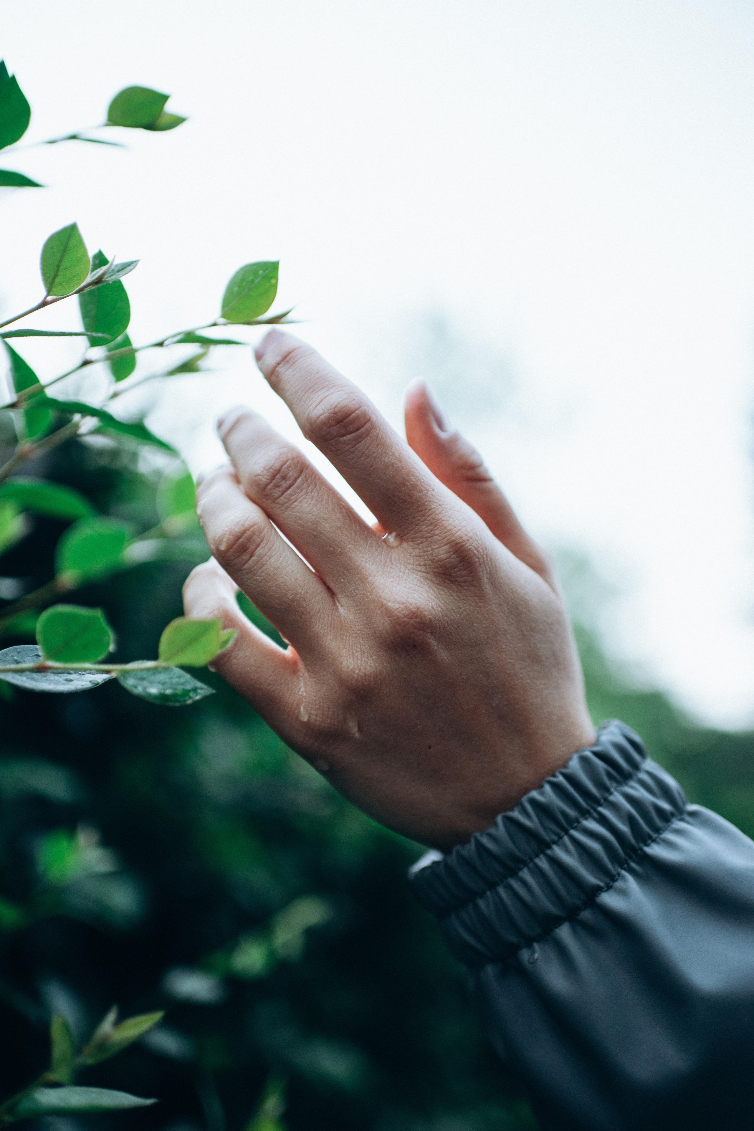 Ксения. Семейный свадебный фотограф Екатеринбург Первоуральск Шарнина Алёна