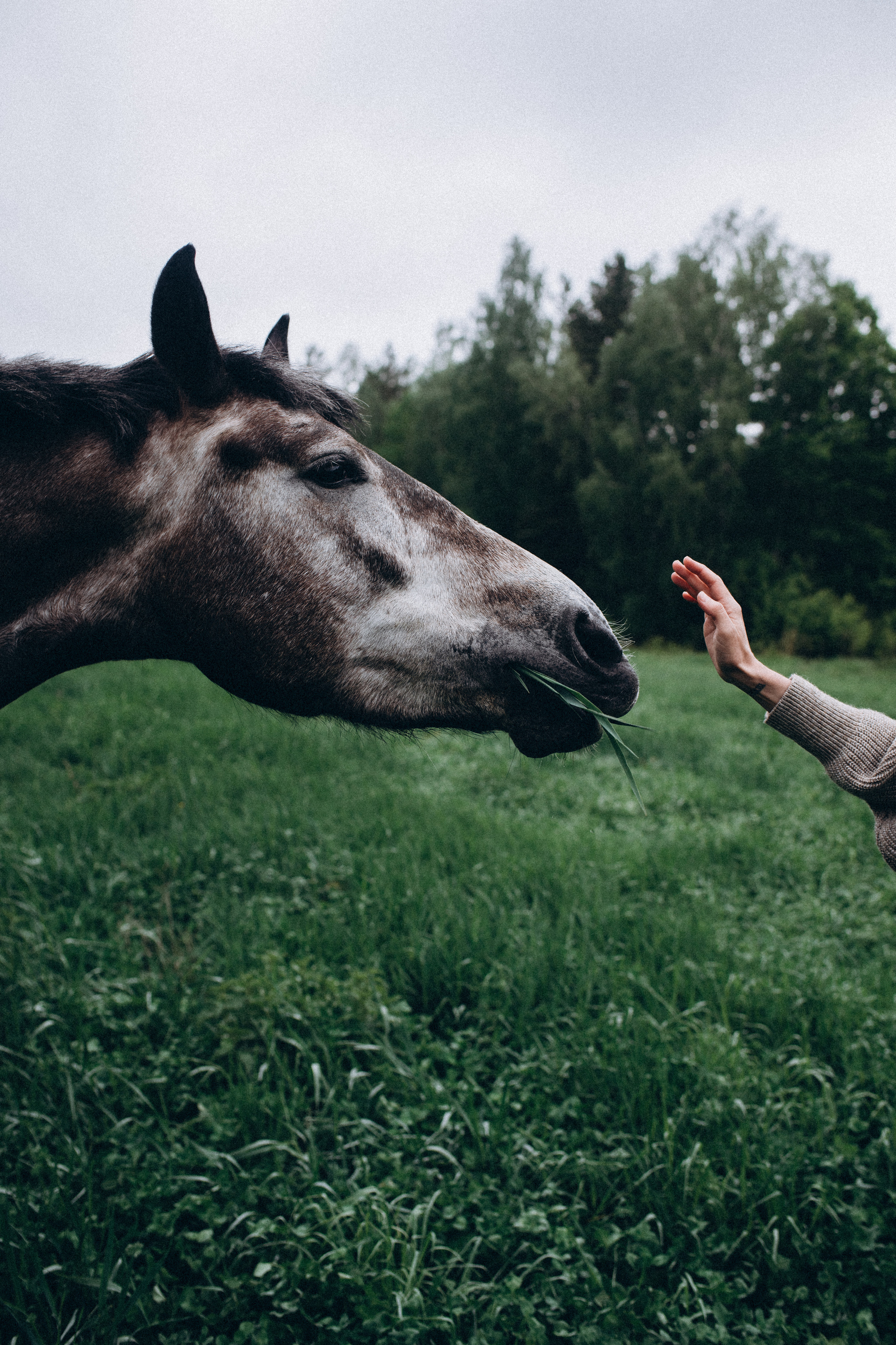 Ирина. Семейный свадебный фотограф Екатеринбург Первоуральск Шарнина Алёна