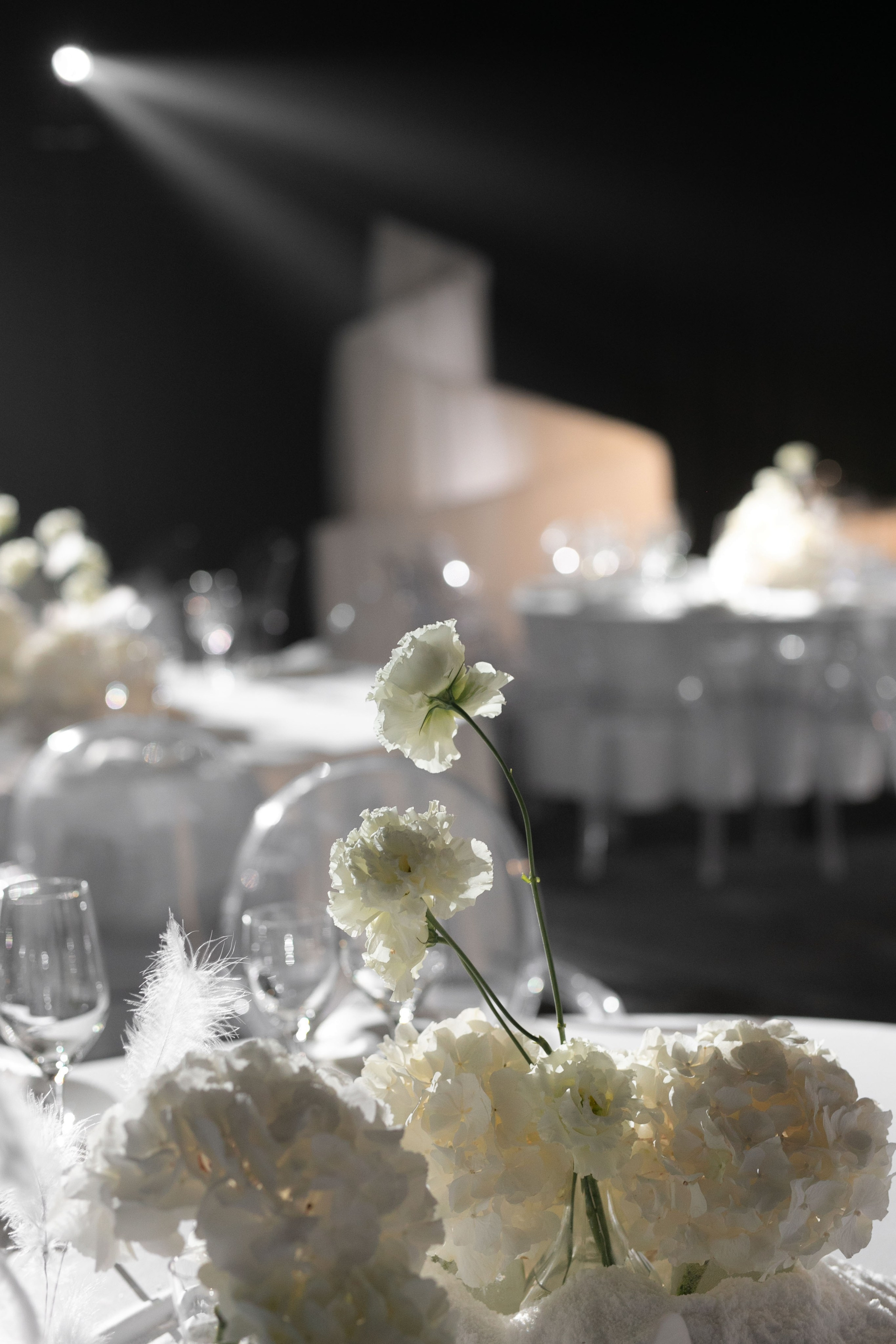 Виктор и Ольга. Лада Канана Свадебный и семейный фотограф