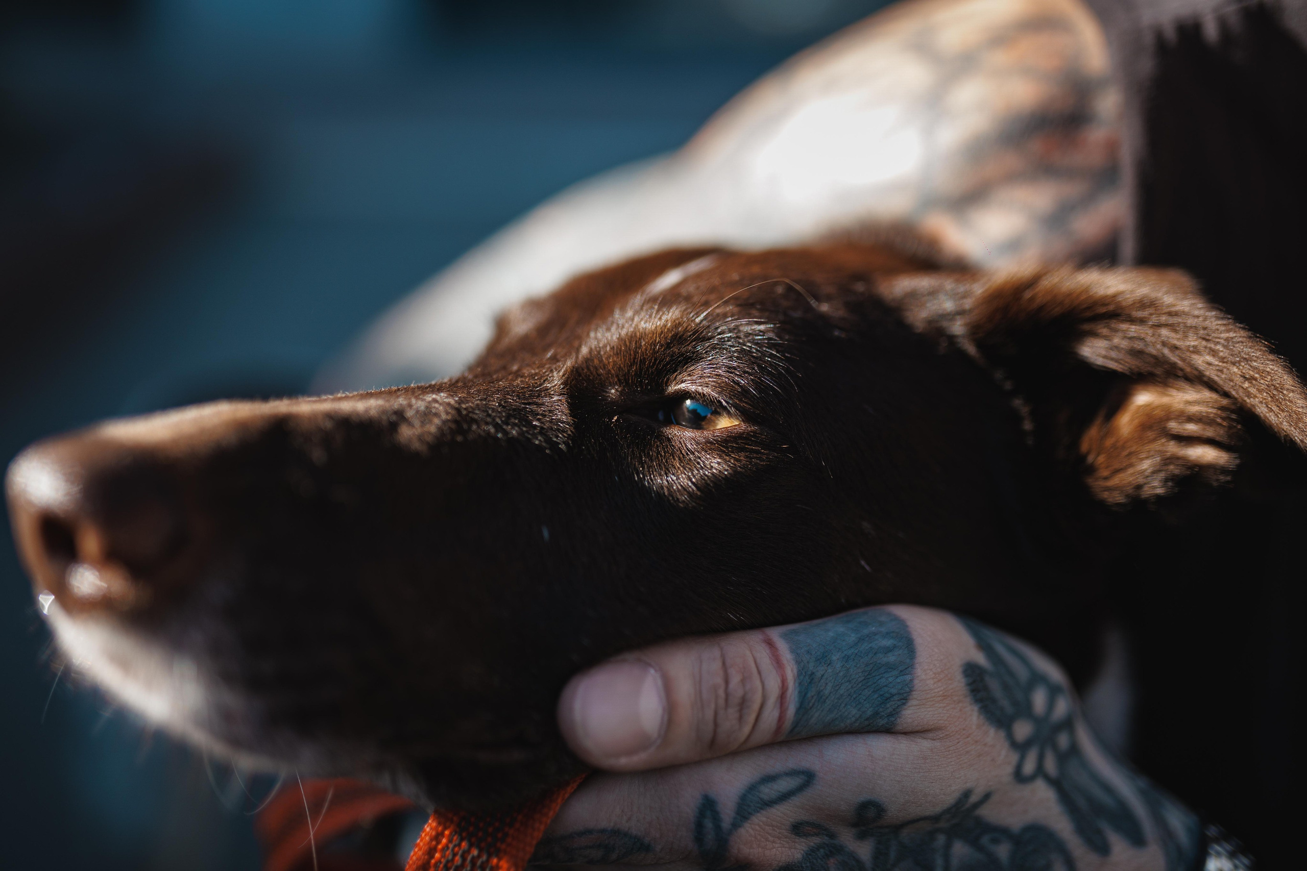 Никита. Фотограф в Ростове-на-Дону Ника Обида