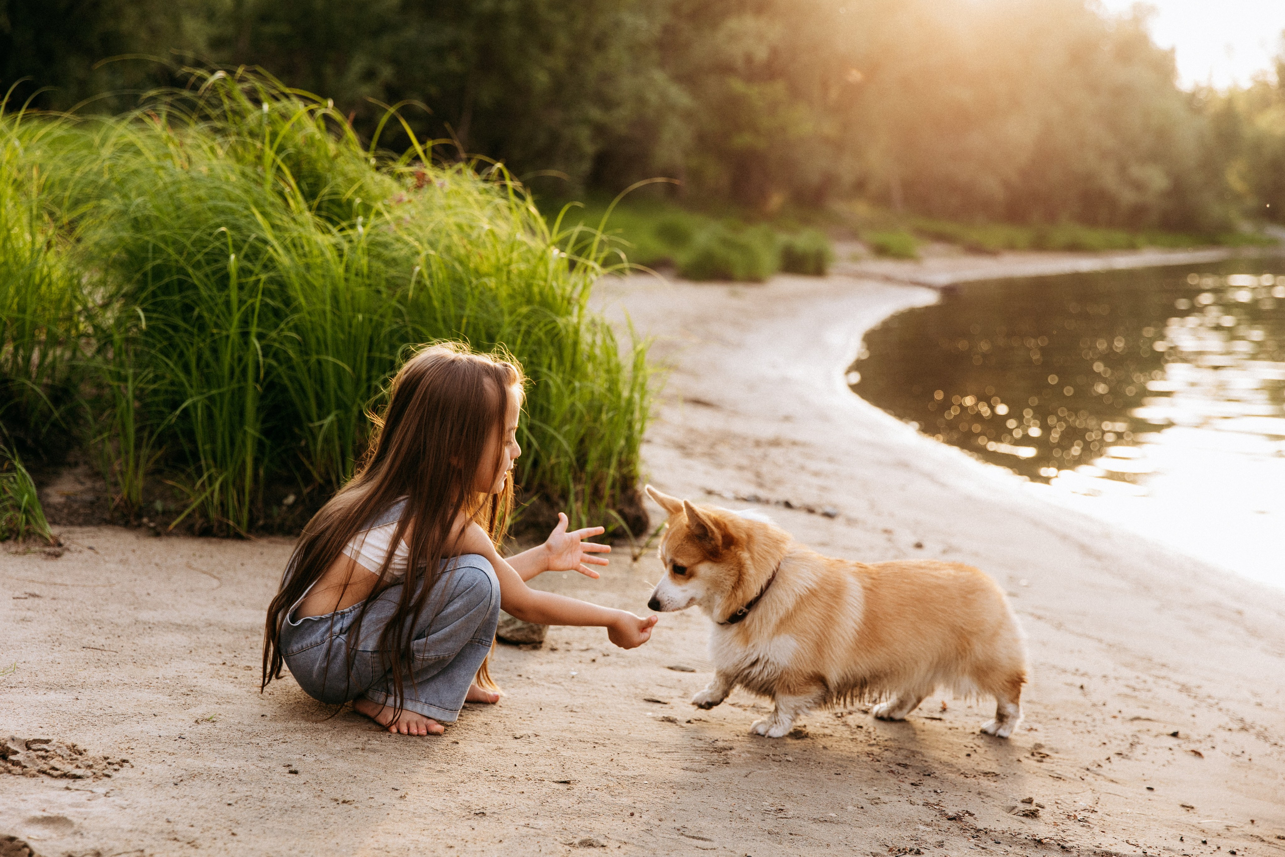 Пикник с Бетти. Главная