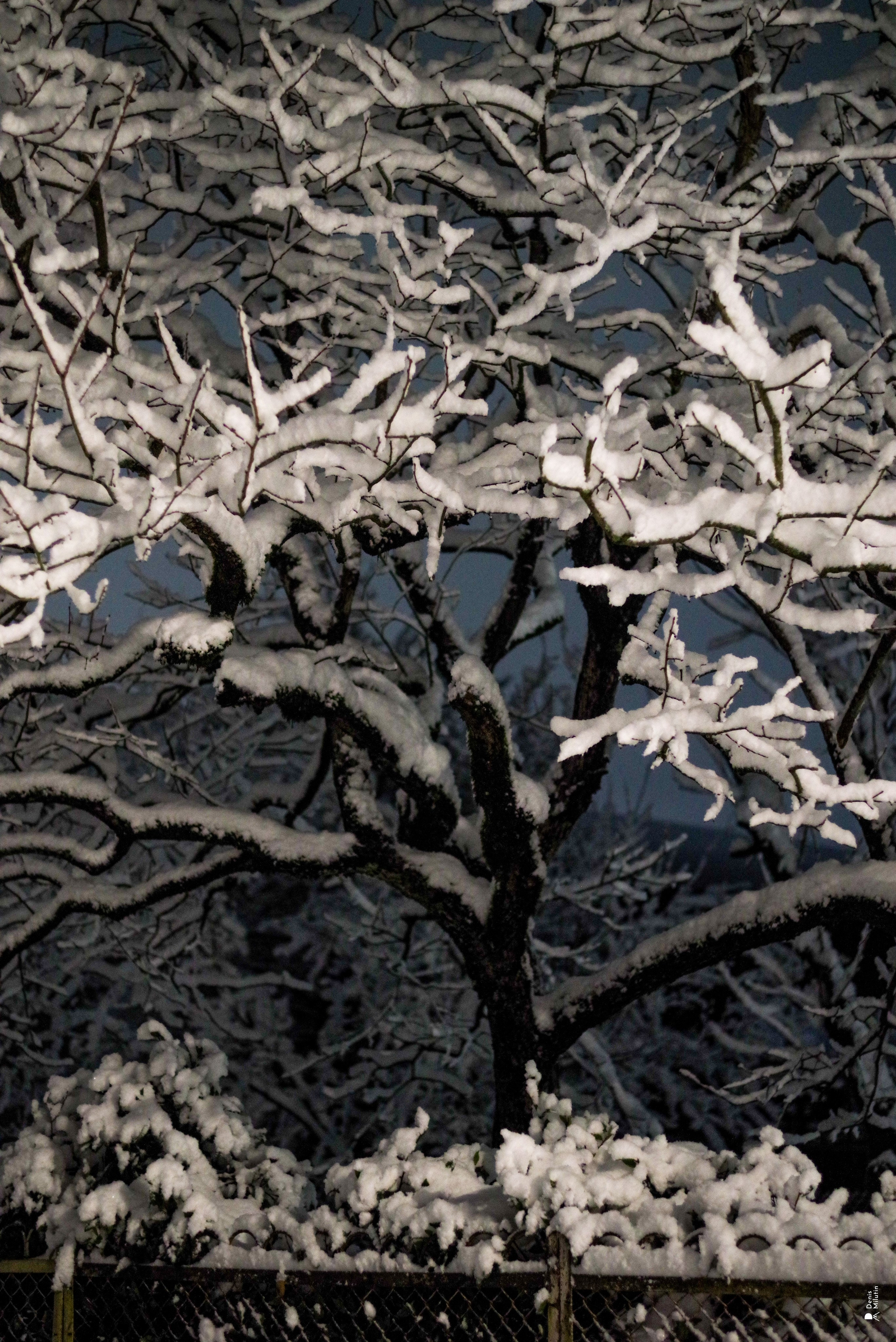 Ночь в Менджи. Портретный фотограф Денис Милютин