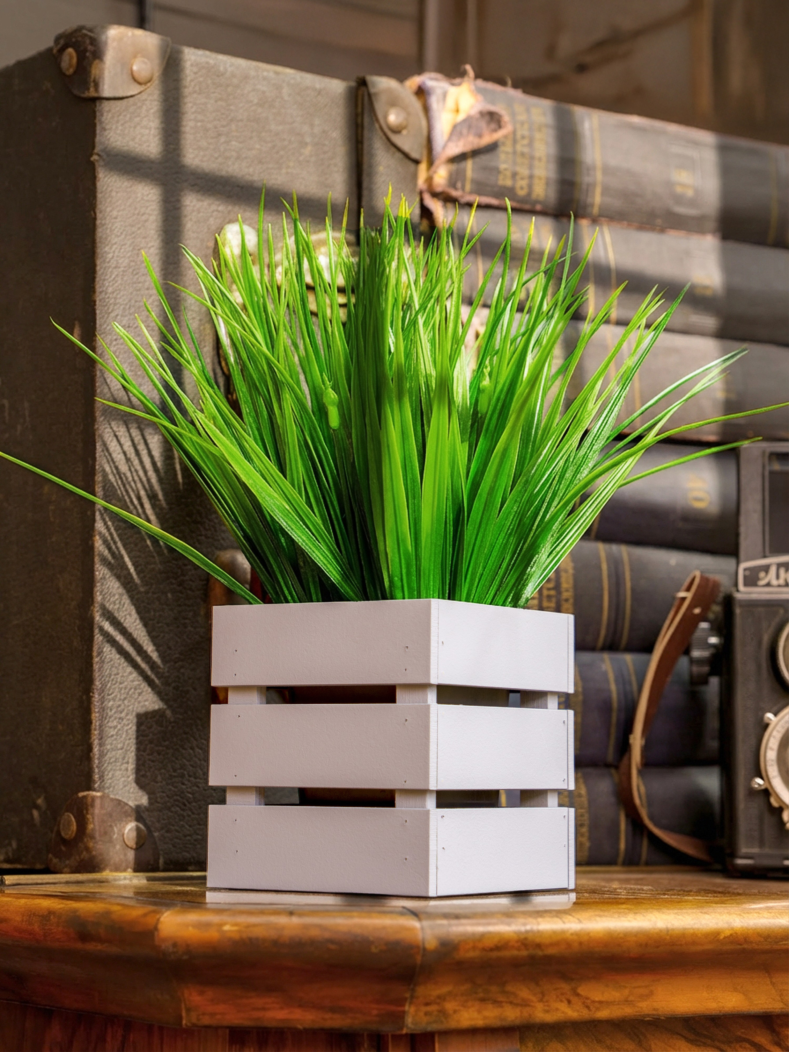 Кашпо. Макаров Сергей|Creamlebot Фотограф города Ростов-на-Дону