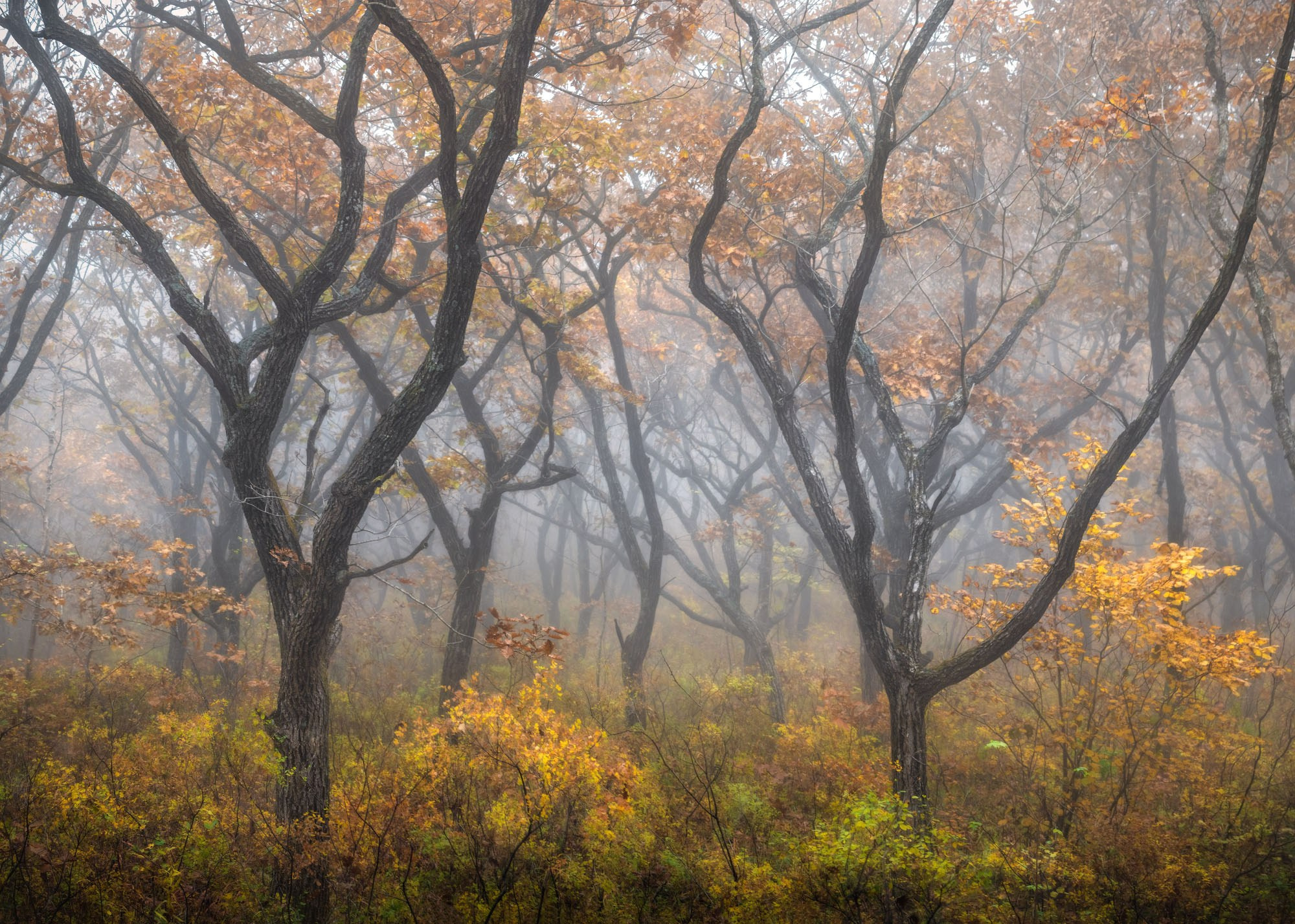 Фотографии Приморье