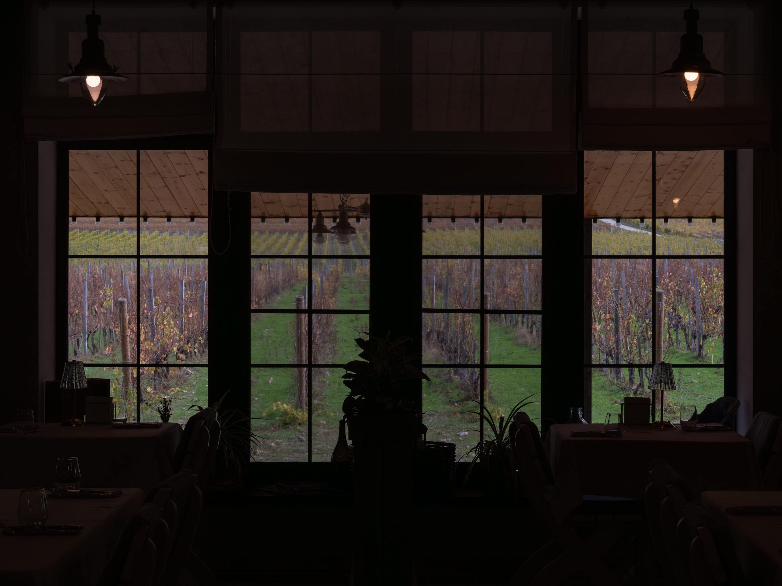 Литературная мастерская с Ольгой Шутовой в «Винотеррии». Репортажный фотограф в Красной Поляне и Сочи Павлюченко Екатерина