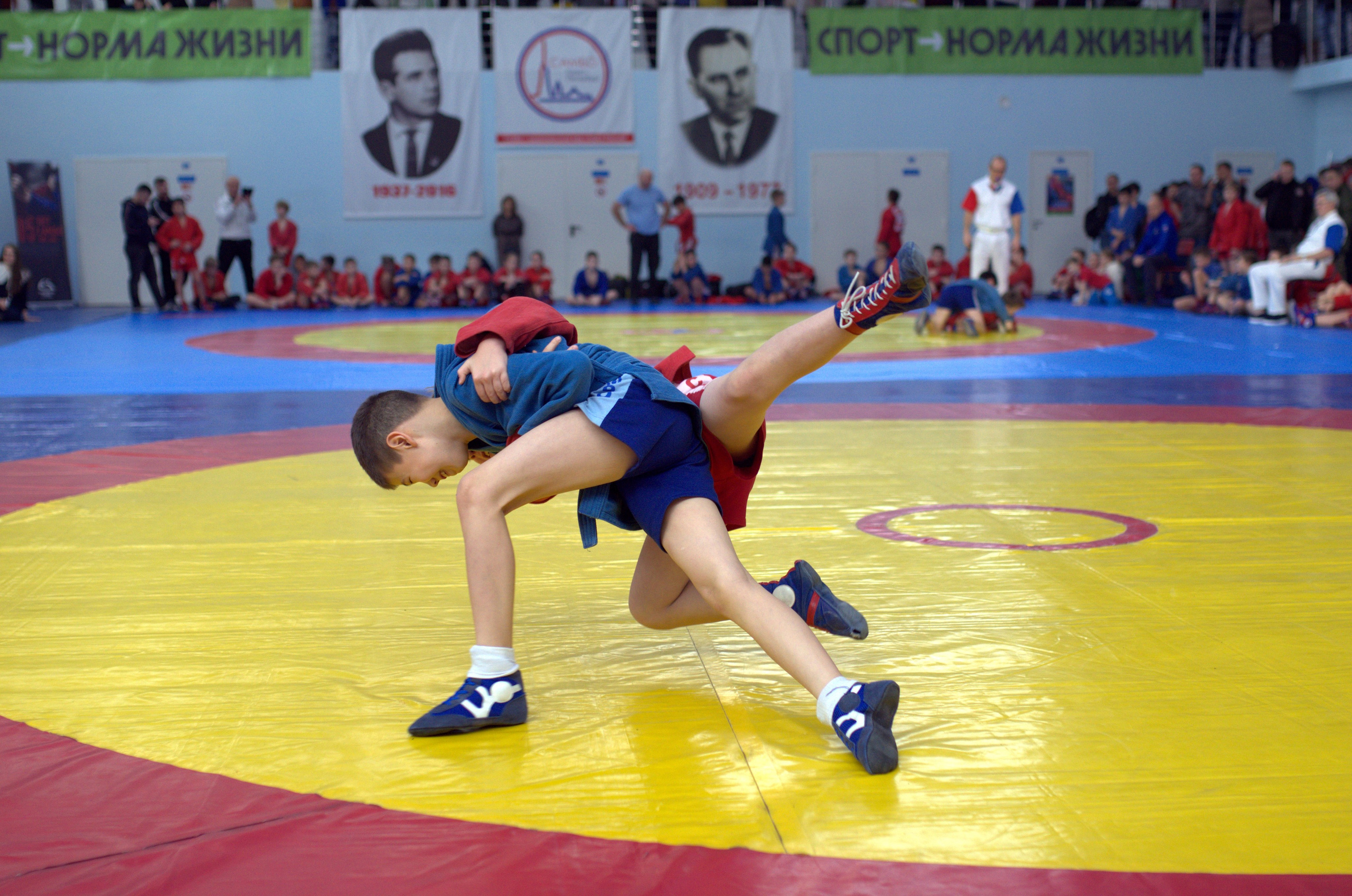 Самбо. Турнир к дню самбо. Фото детских спортивных мероприятий и всякое интересное через объектив