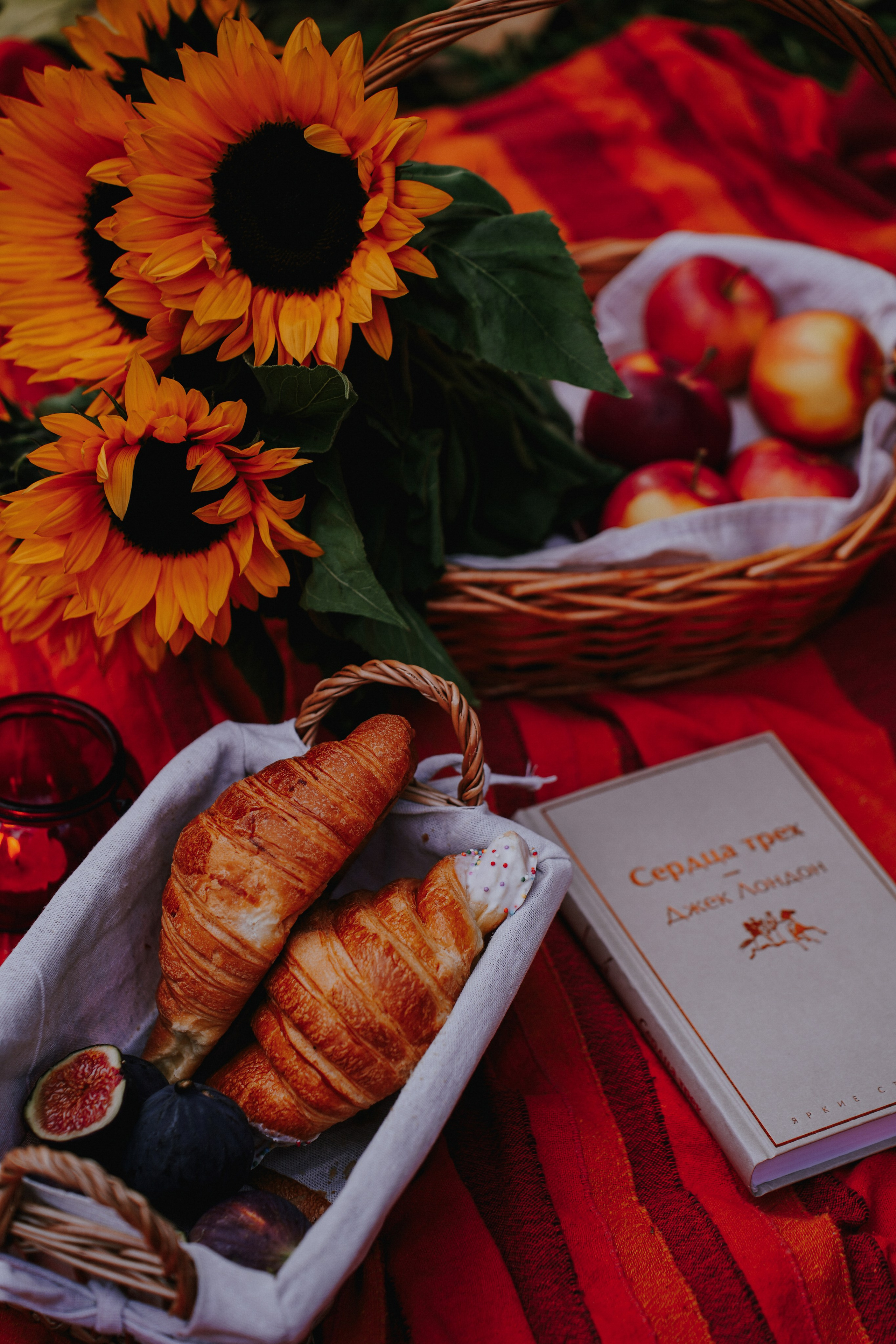 Александра. Фотограф в Москве Ксения Насокина