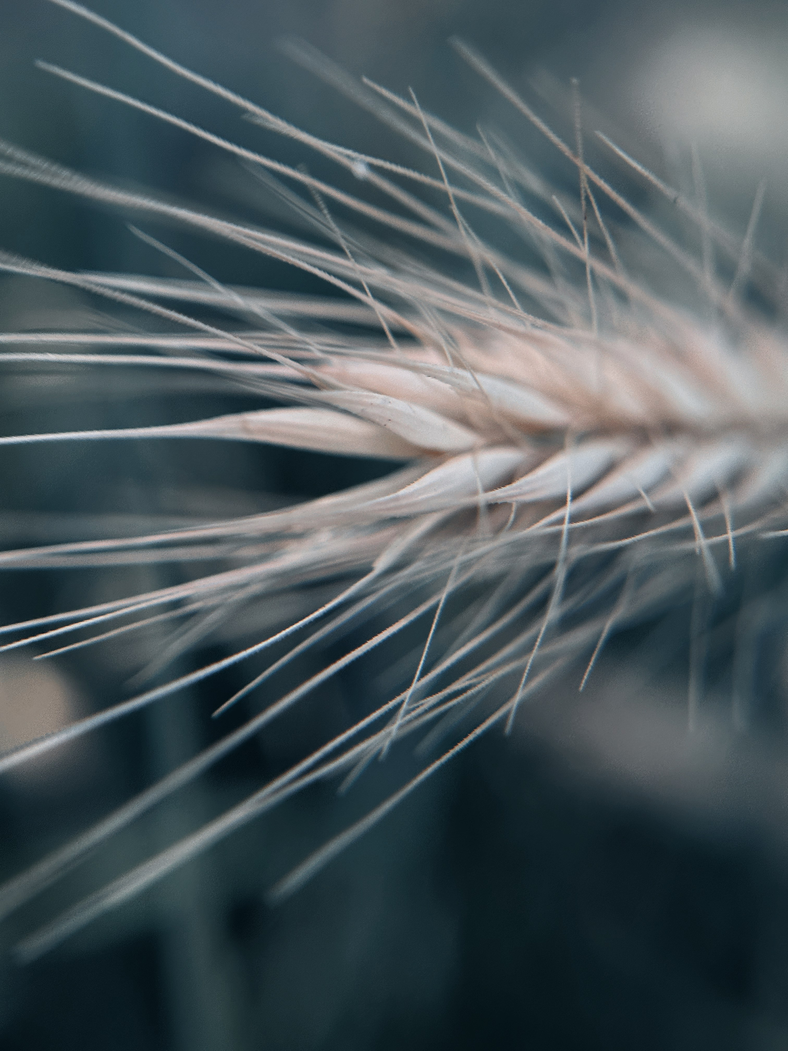 Макро любовь. Смотри, красота!