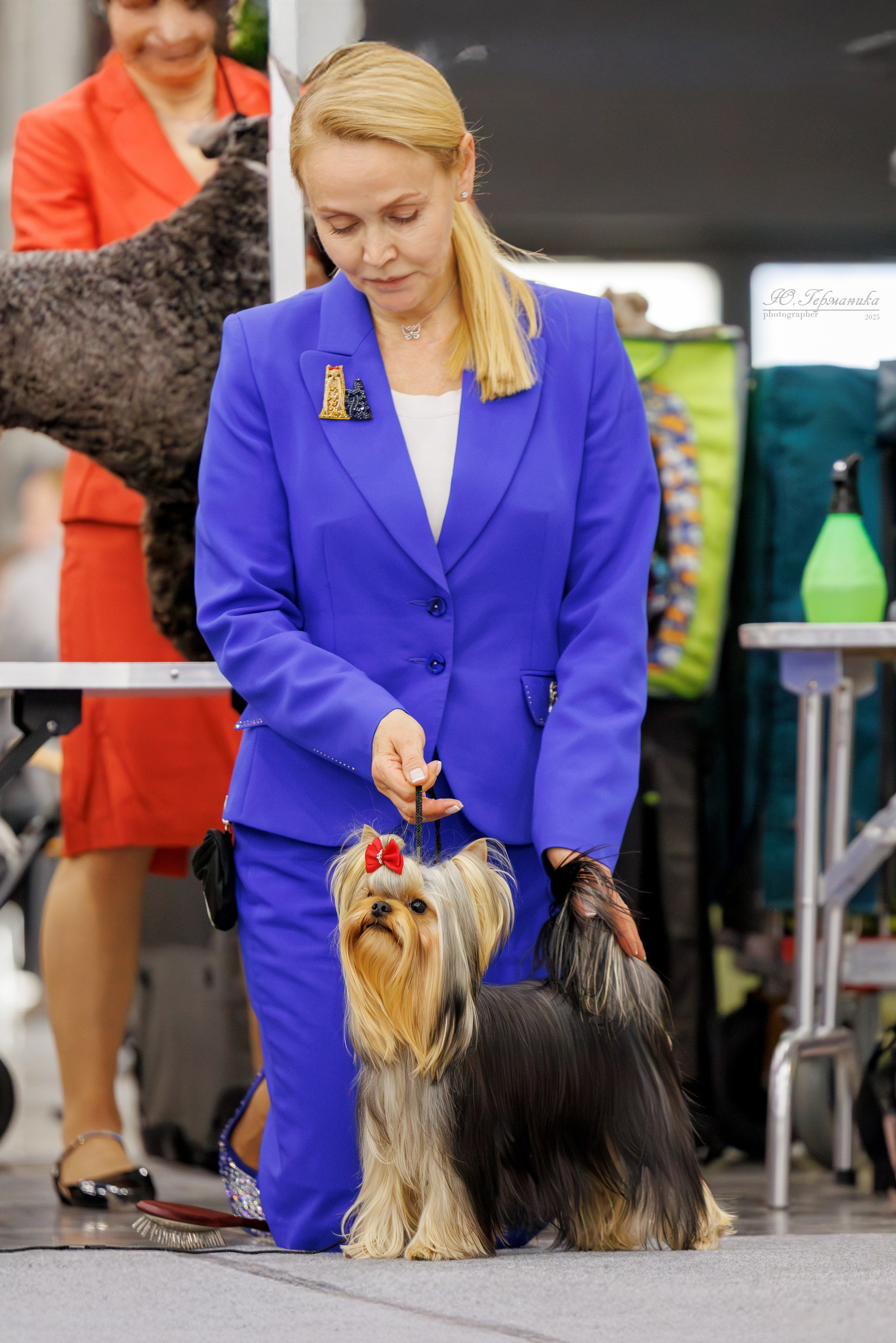 Питер 12-13.12.2025. Фотограф-анималист Юлия Германика