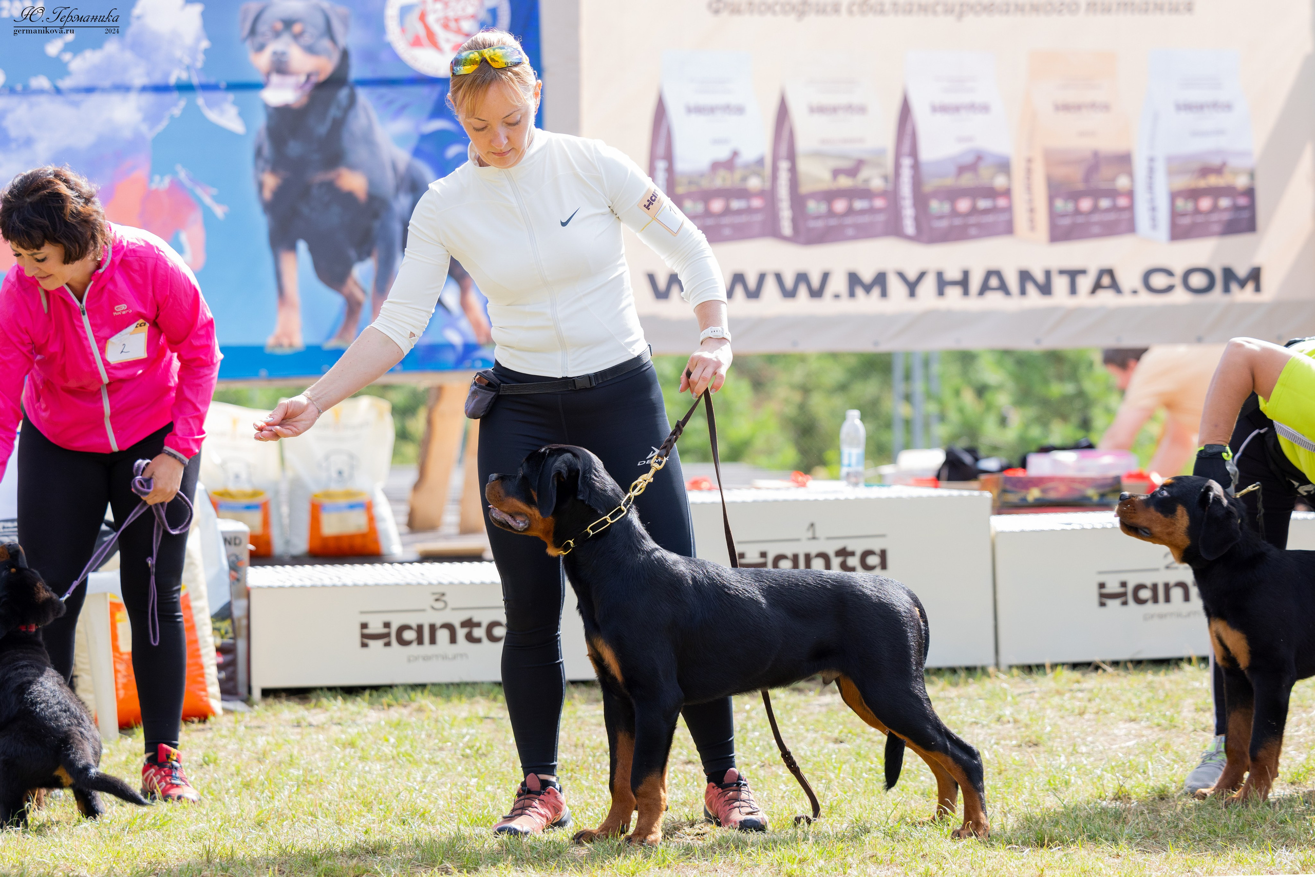 ПК и КЧК ротвейлеры Тверь 6-7.07.2024. Фотограф-анималист Юлия Германика