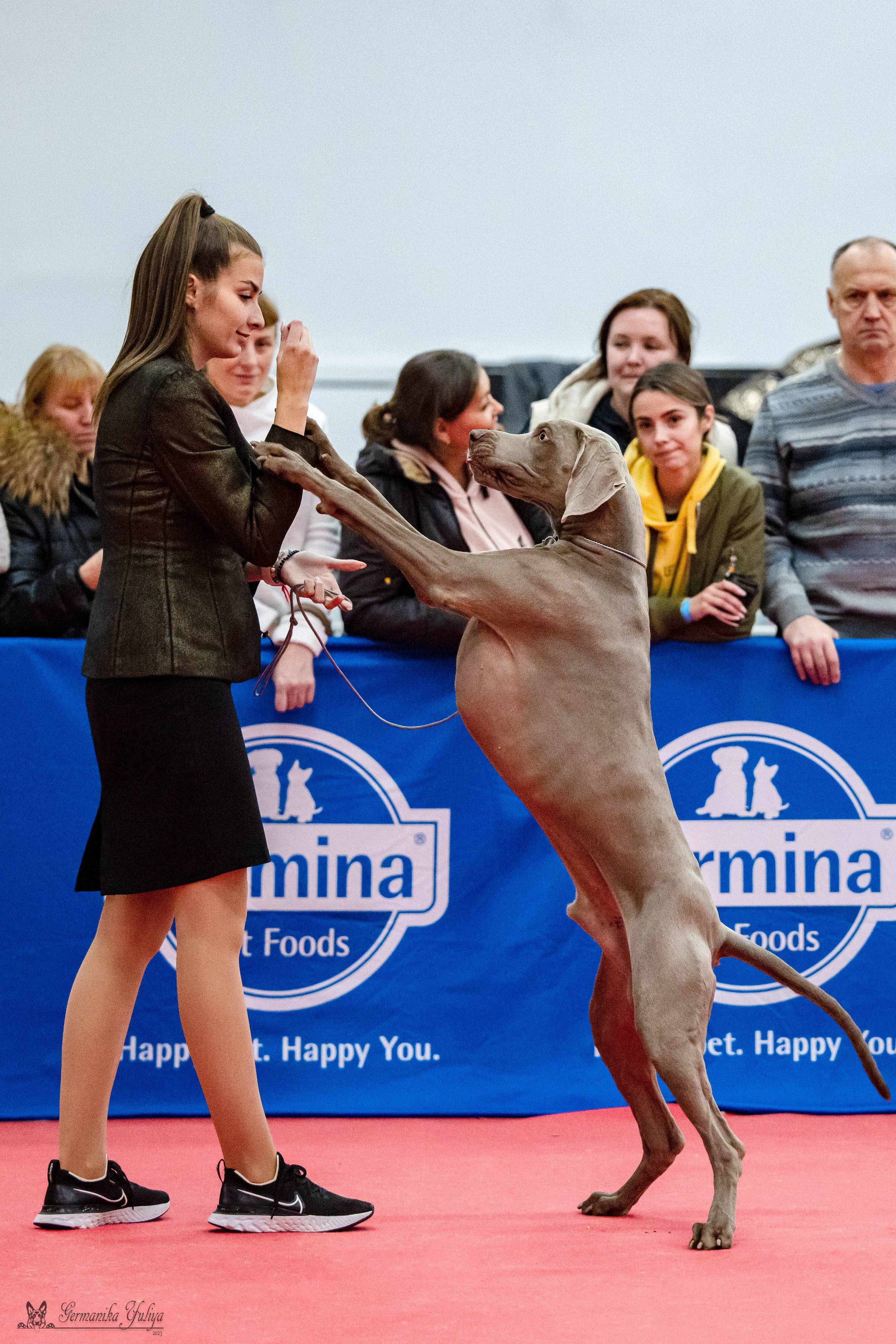 Нижний Новгород 21-22.10.2023. Фотограф-анималист Юлия Германика