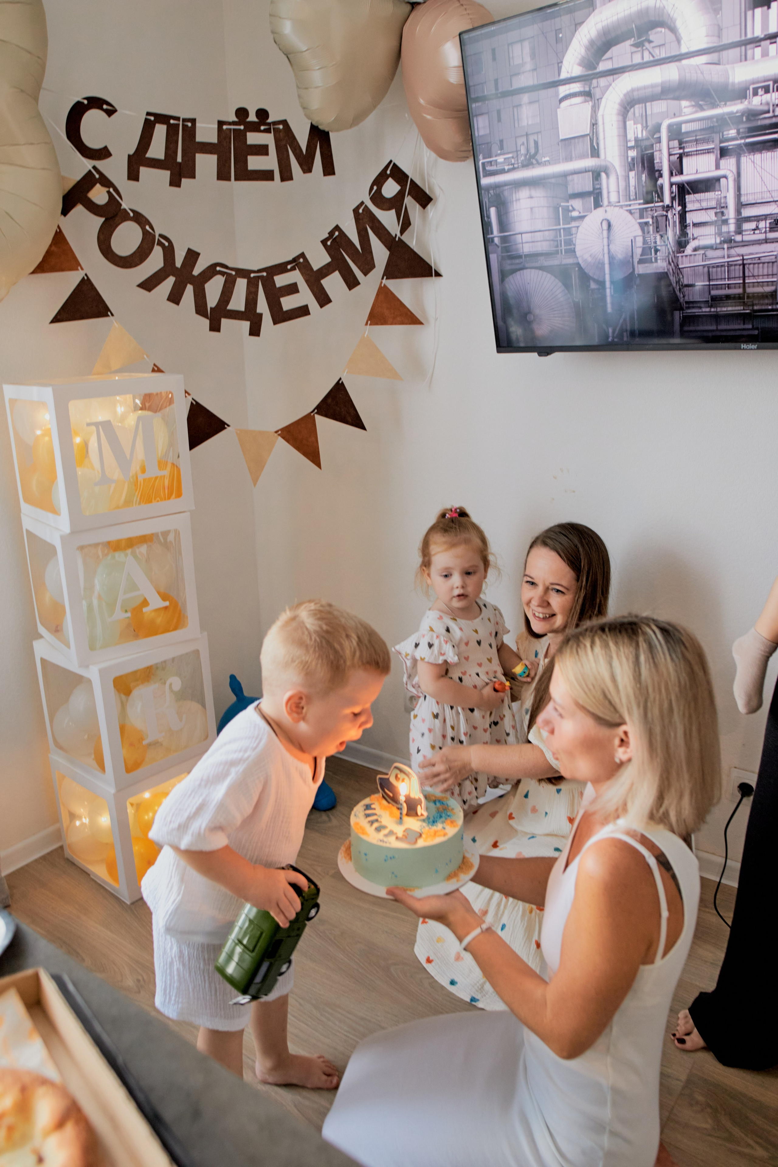 Три кота. Фотограф Москва