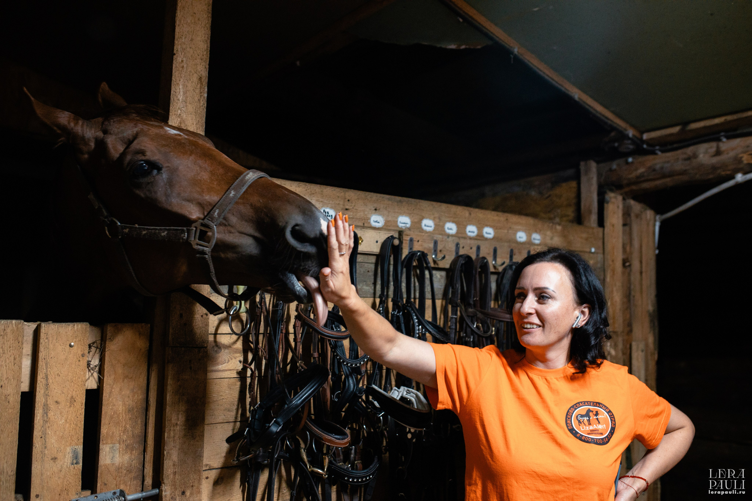 ДПСО «ЛизаАлерт». Главная