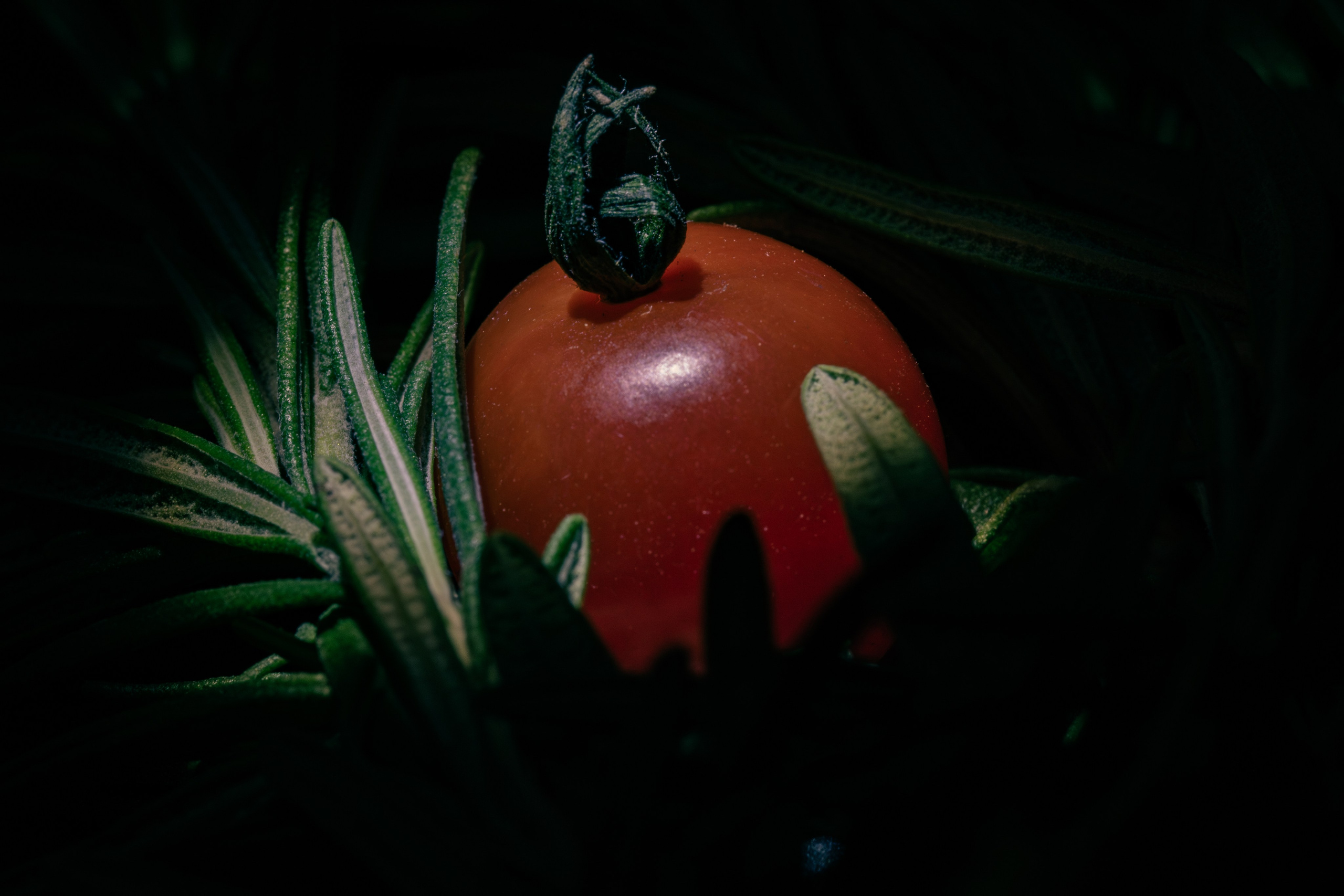 Фуд-съёмка. Предметный, рекламный, ювелирный фотограф в Москве