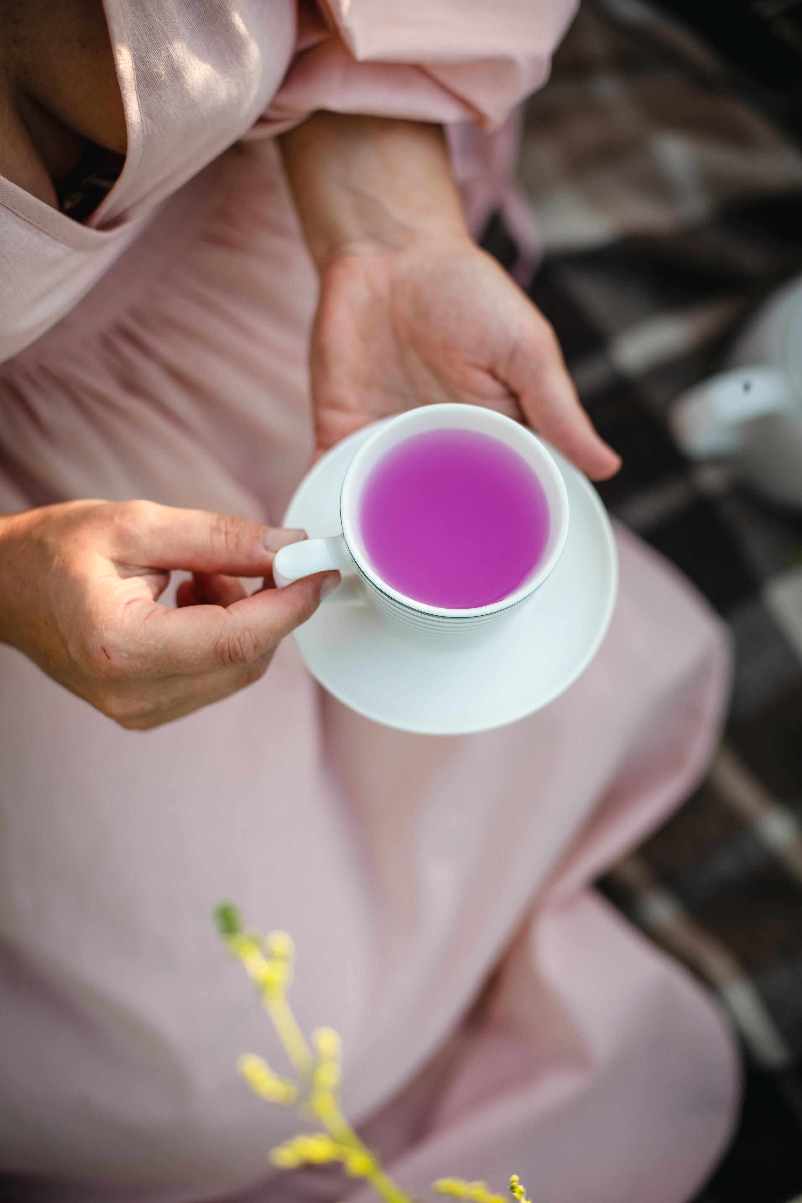 Люпины. Olga.filippova.photo