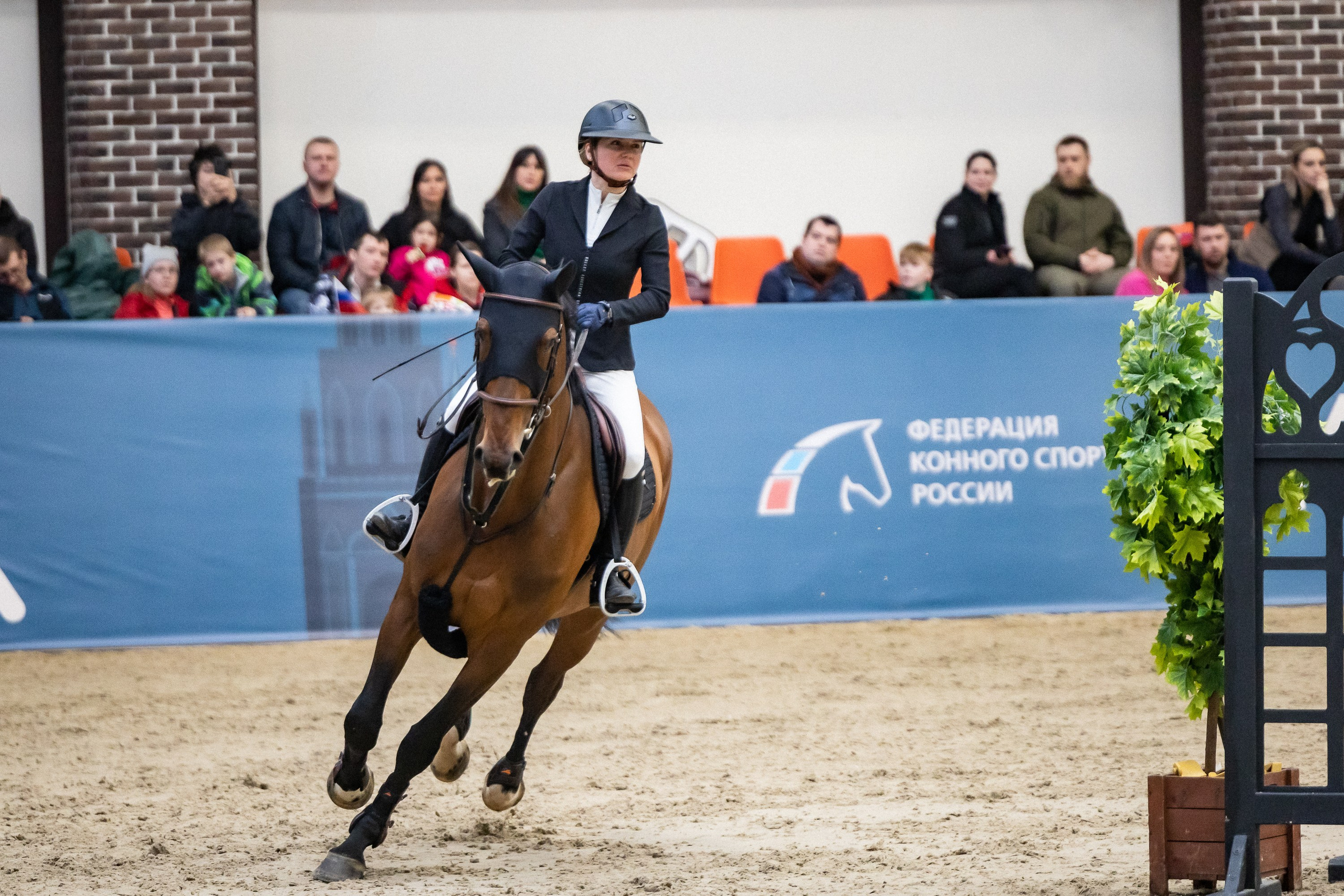 Кубок Кремля по Конкуру 12.04.25. Фотограф Владимир Охрименко