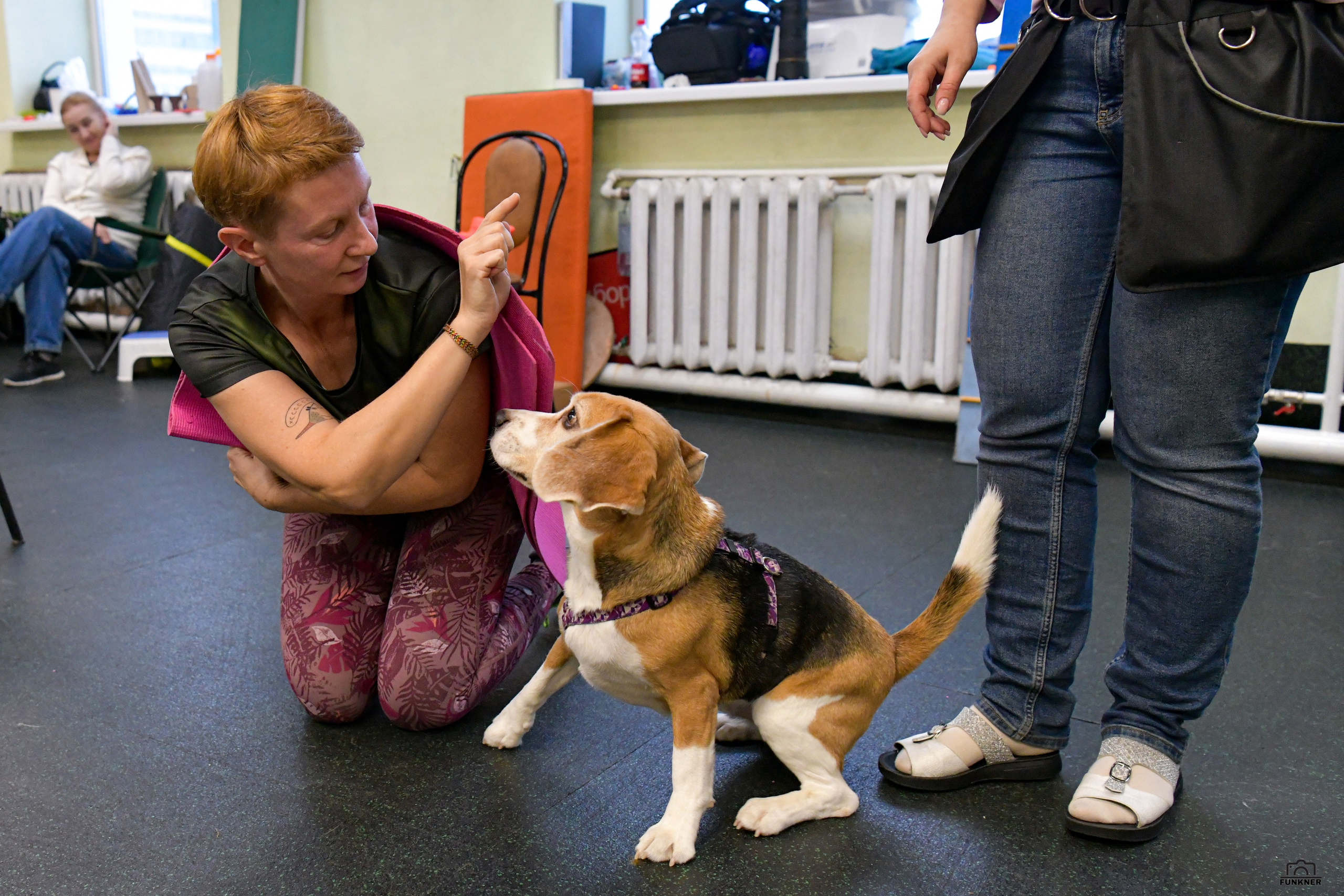 Кинологический клуб «Бодрый хвост». Свой взгляд через объектив