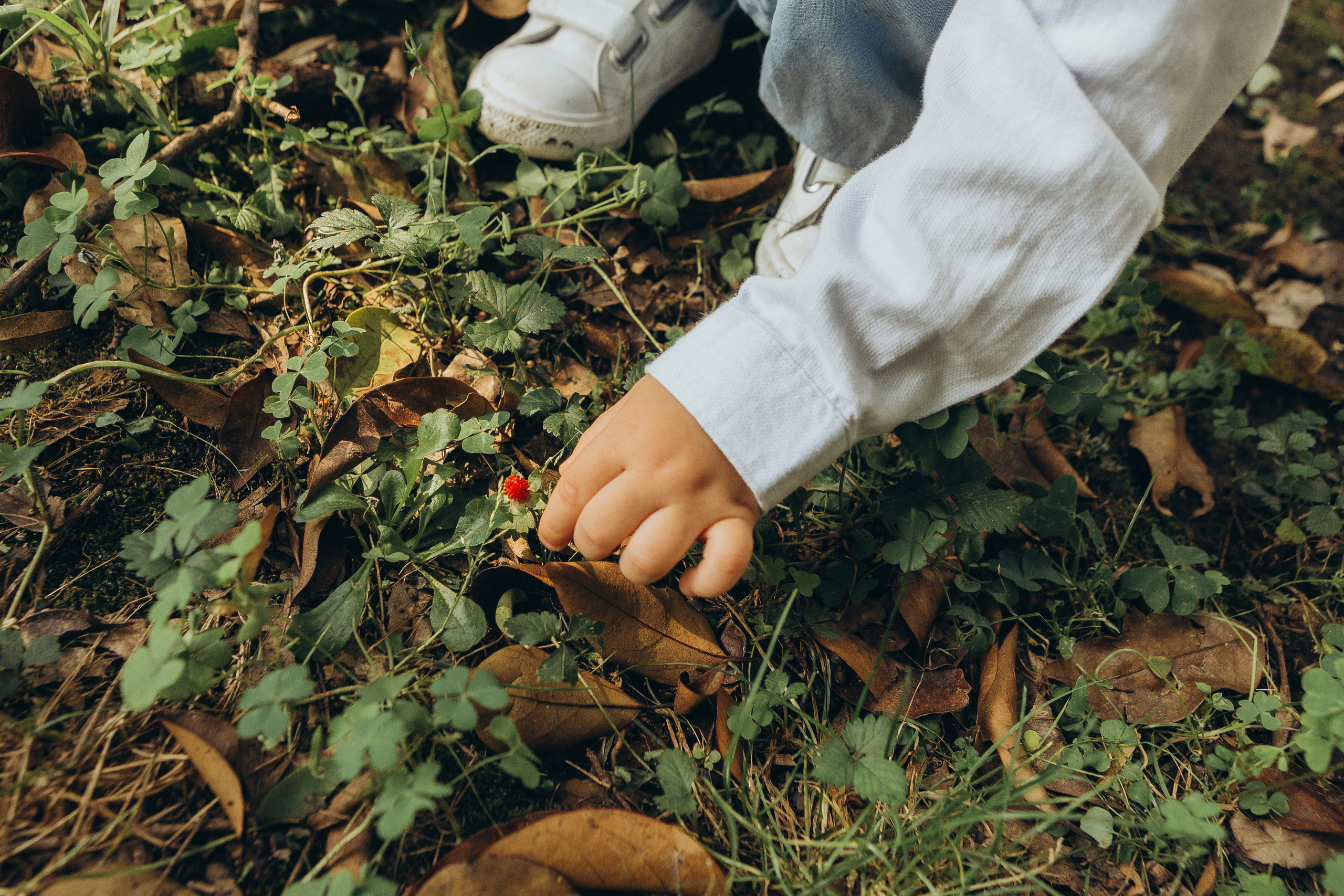 fotosesión familiar CDMX, fotografo Ciudad de Mexico, family photographer Mexico City, фотограф Мехико