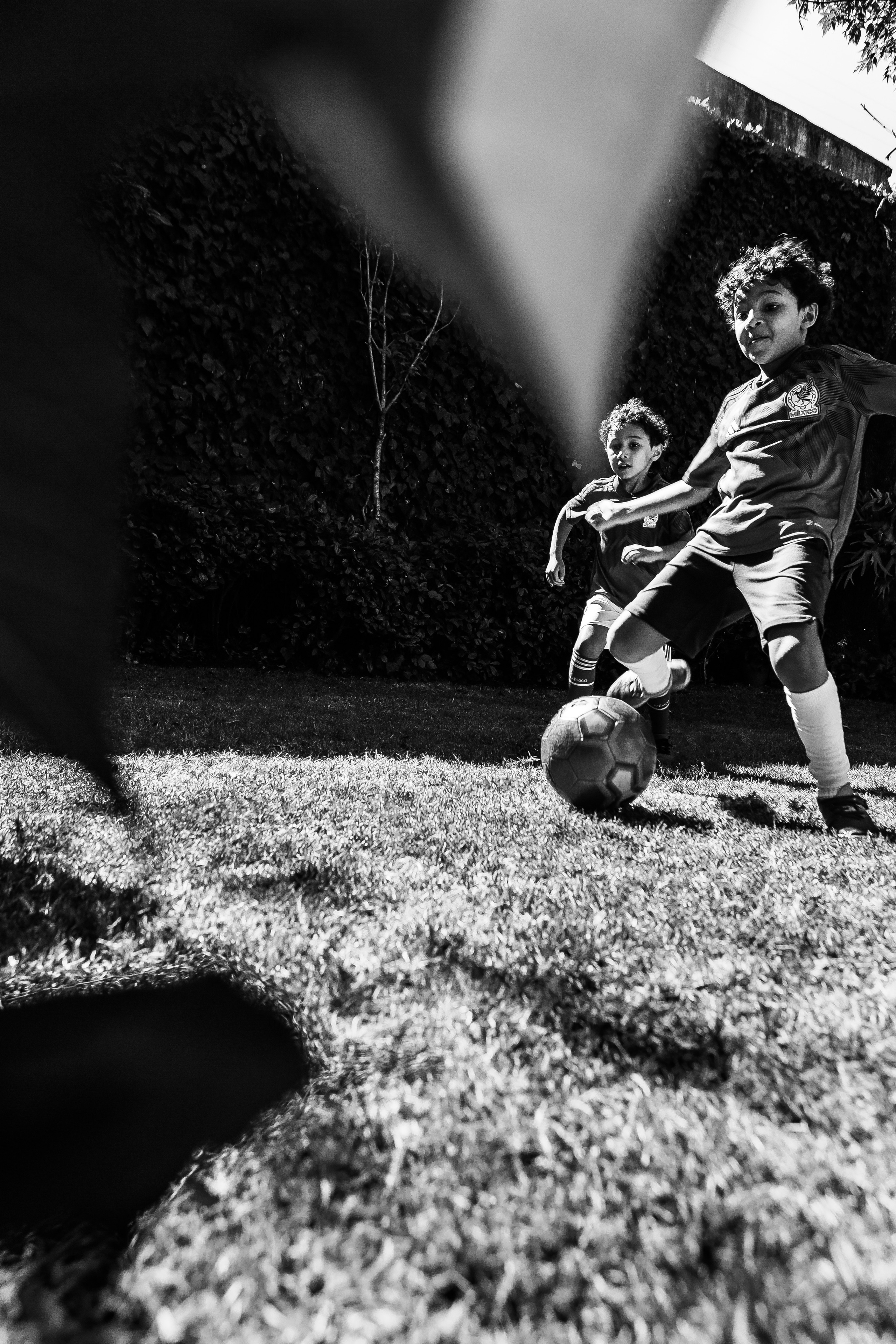 Семья Доминик. Ирина Крохалева. Семейный фотограф в Екатеринбурге