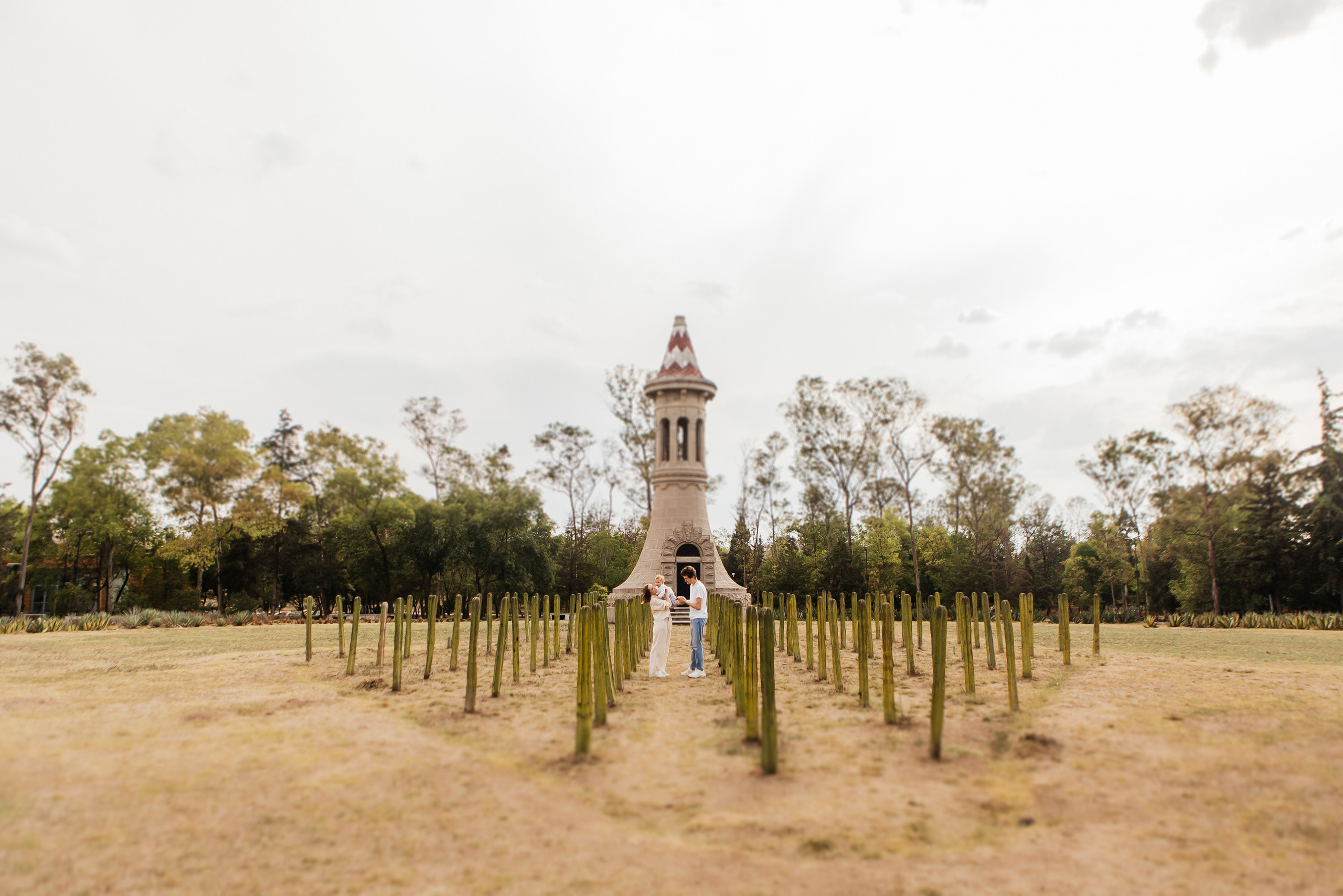 Даша, Миша и Эмиль. Ирина Крохалева. Семейный фотограф в Екатеринбурге
